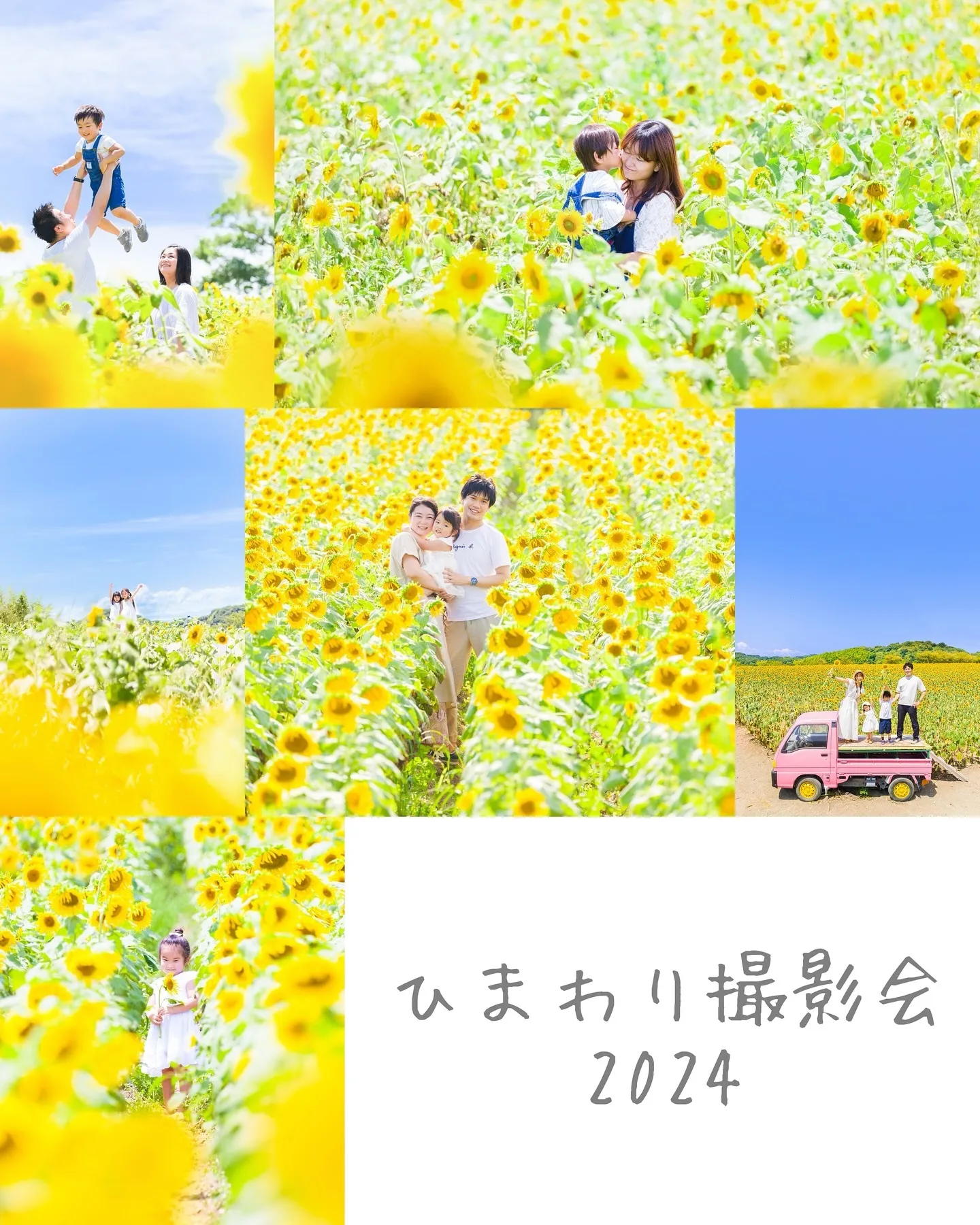 【ひまわり撮影会🌻】