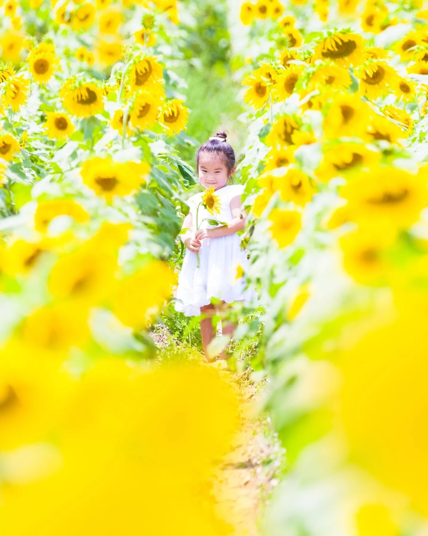 【ひまわり撮影会🌻】