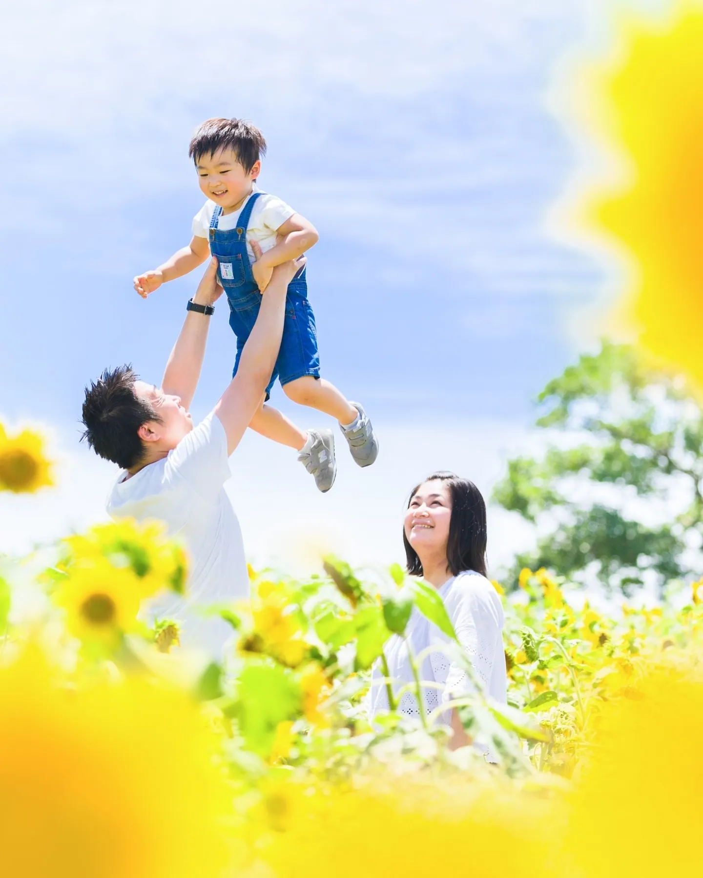 【ひまわり撮影会🌻】