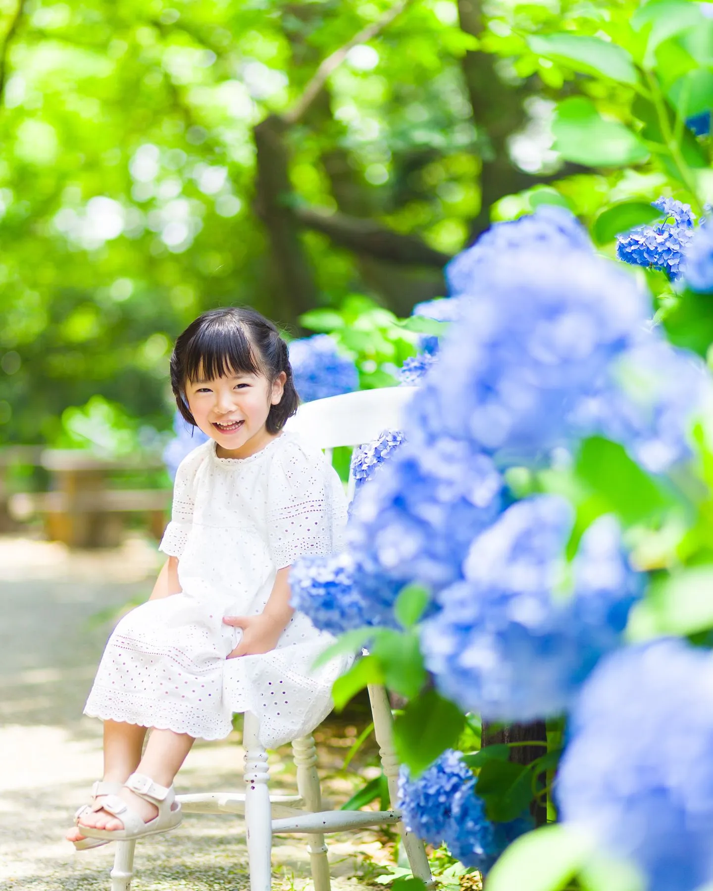 紫陽花撮影会開催しました✨