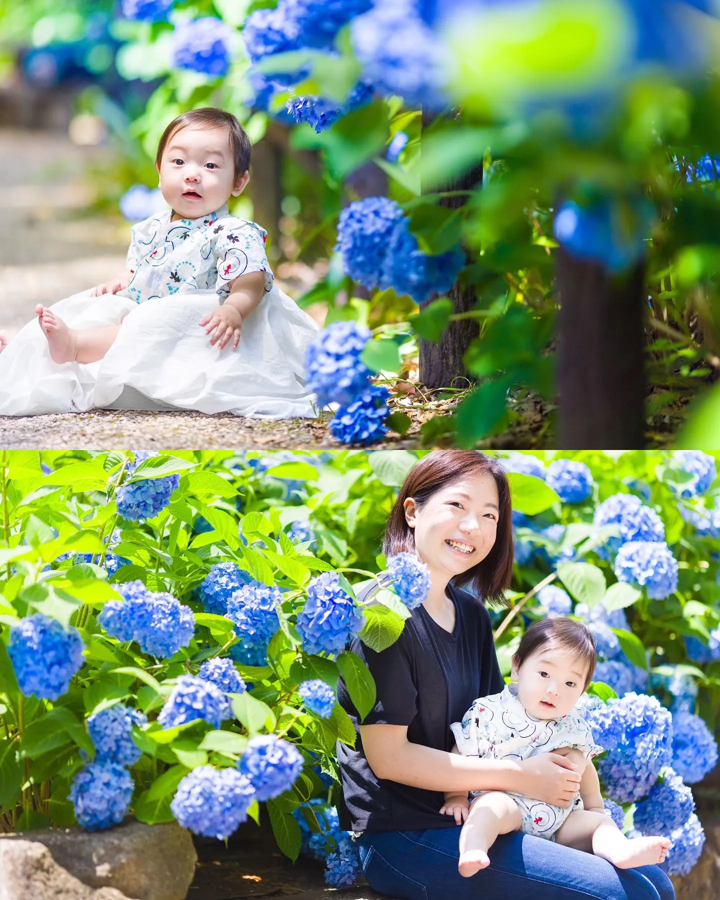 紫陽花撮影会開催しました✨