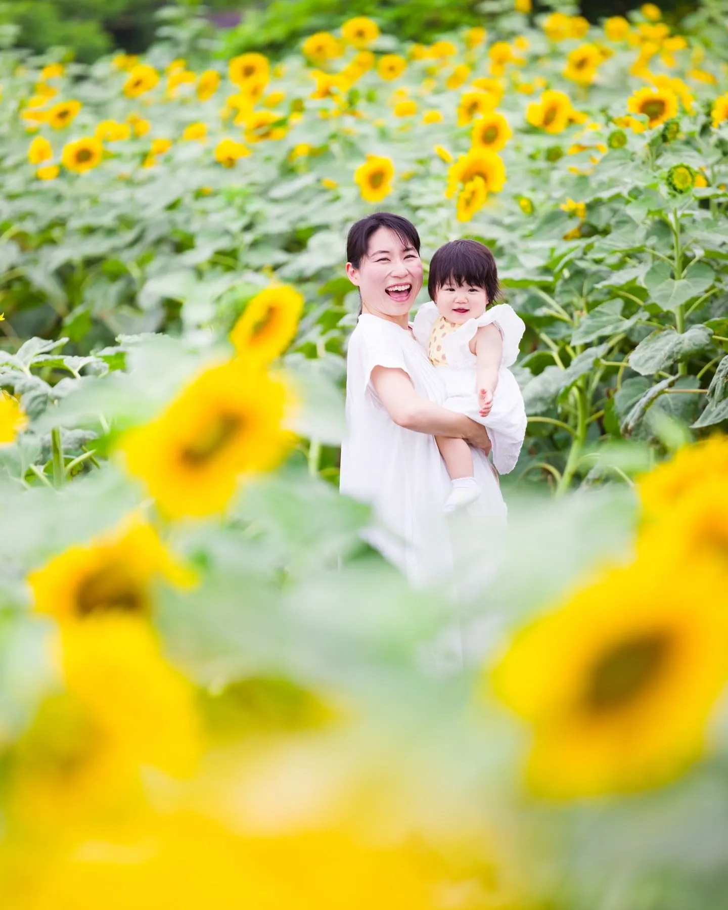 ひまわり撮影会🌻