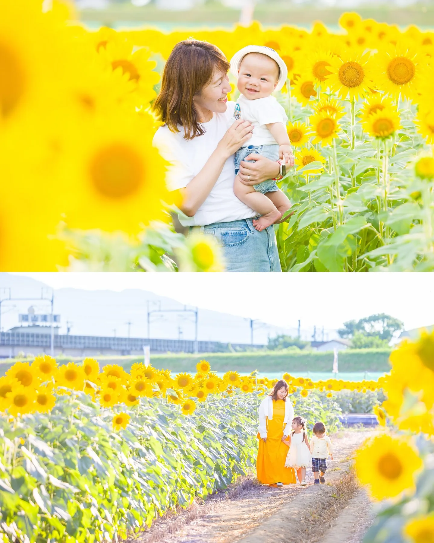 はじめましてのひまわり畑で撮影をさせていただきました🌻