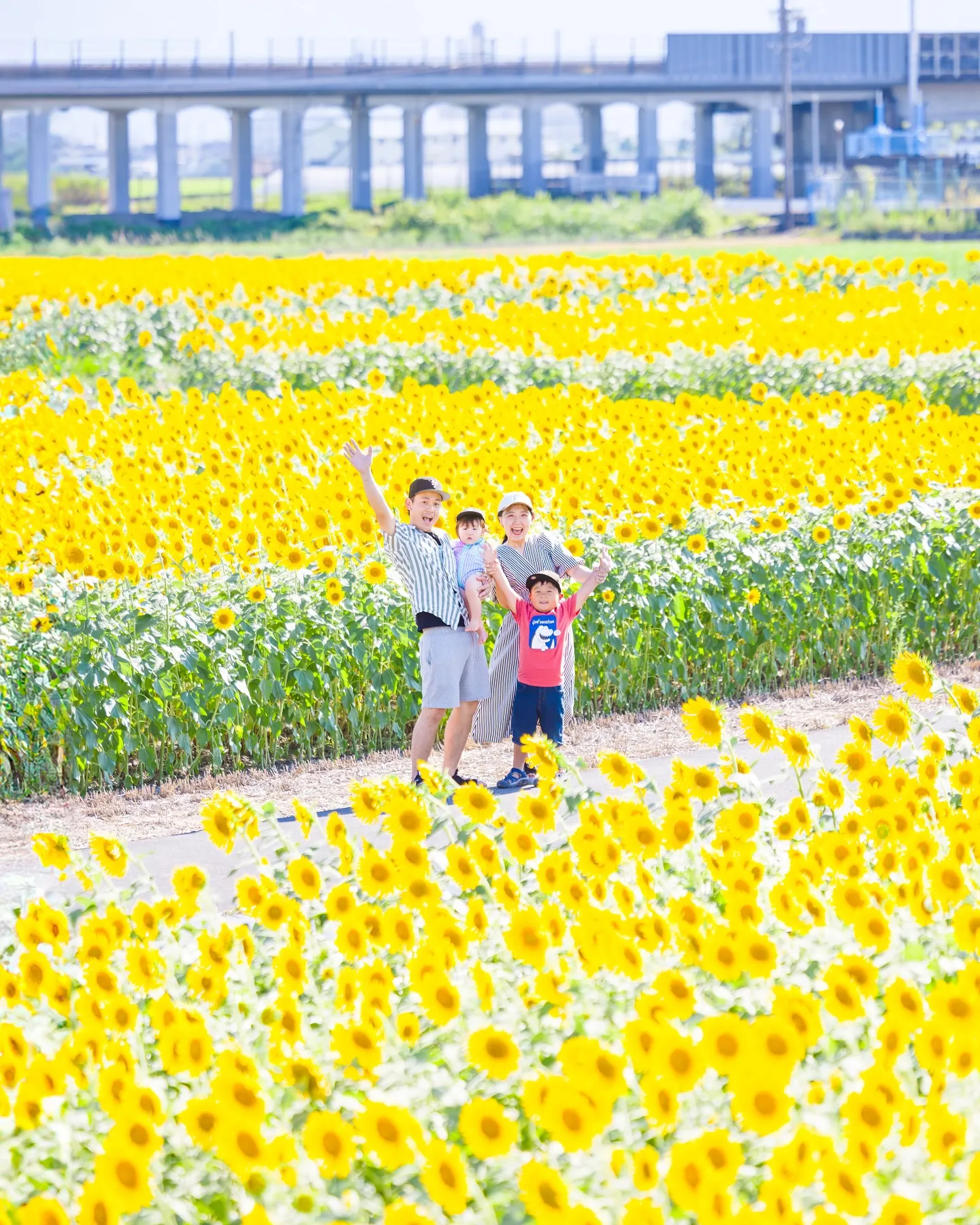 はじめましてのひまわり畑で撮影をさせていただきました🌻