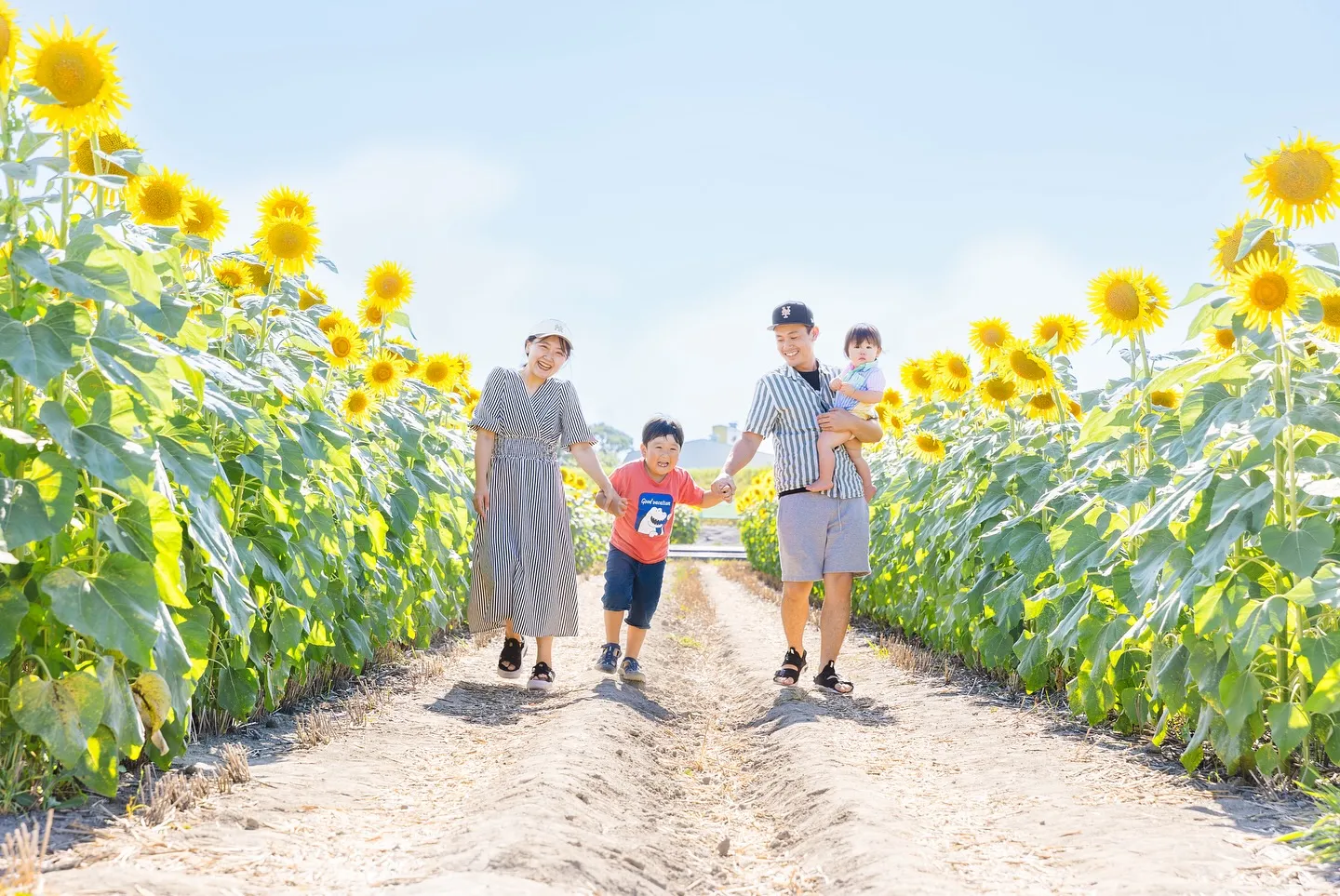 はじめましてのひまわり畑で撮影をさせていただきました🌻