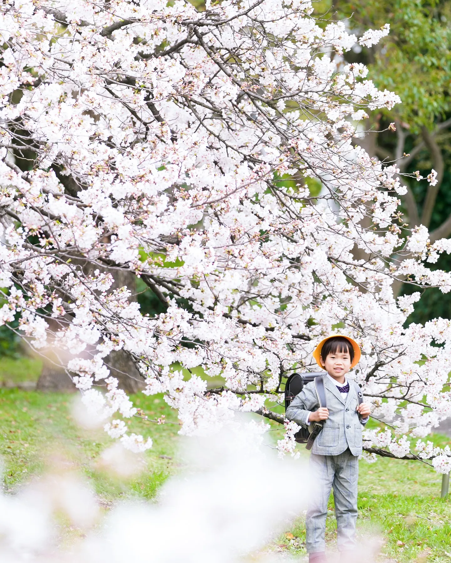 【2025桜ロケーション撮影】