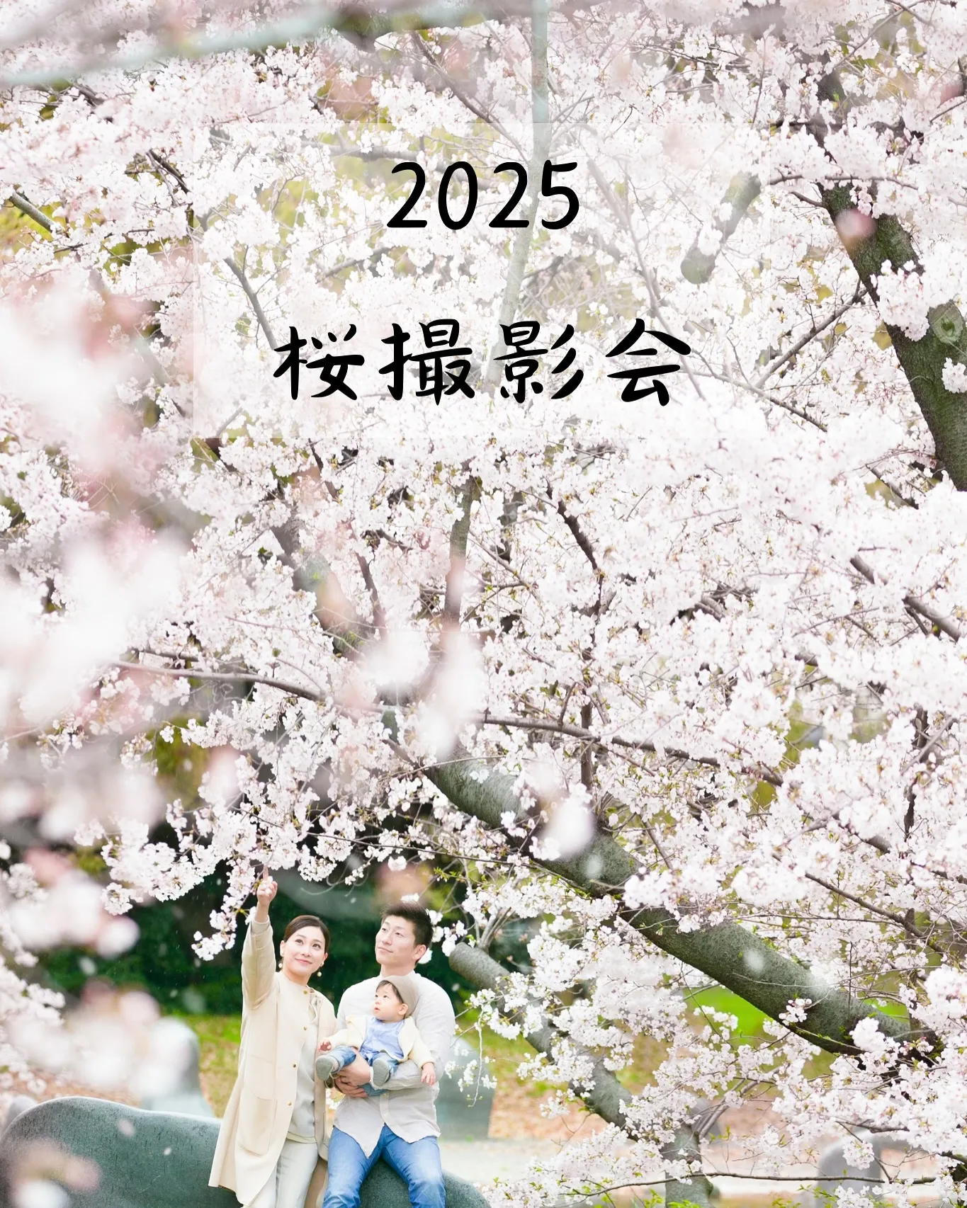 【2025桜ロケーション撮影】