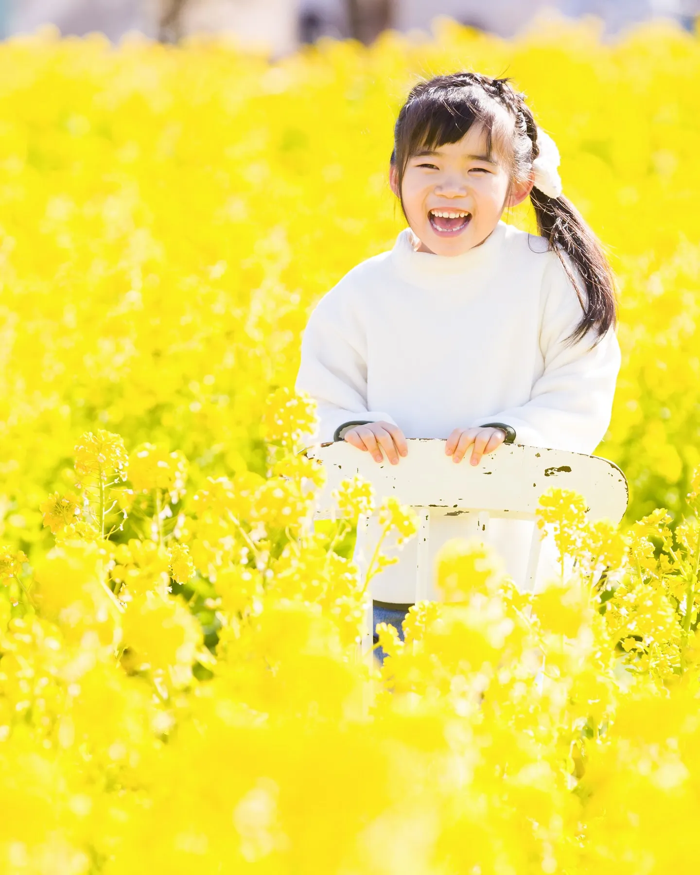 【2025菜の花撮影会行います✨】