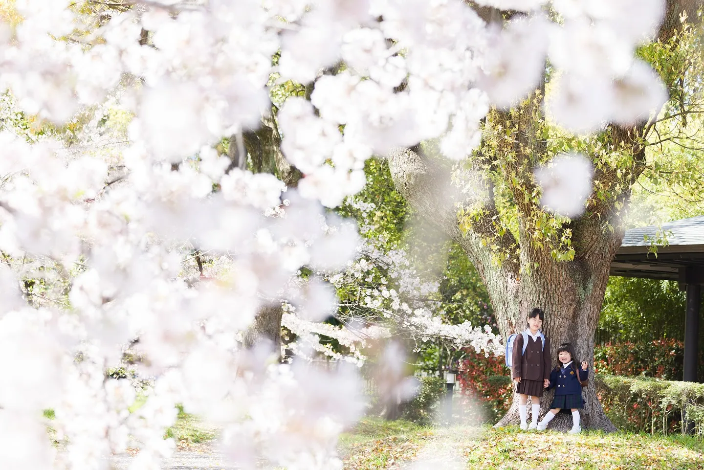 【2025桜撮影会】