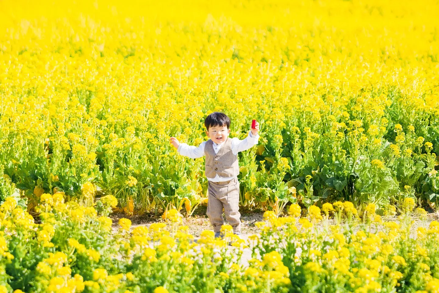 菜の花撮影会開催しました！