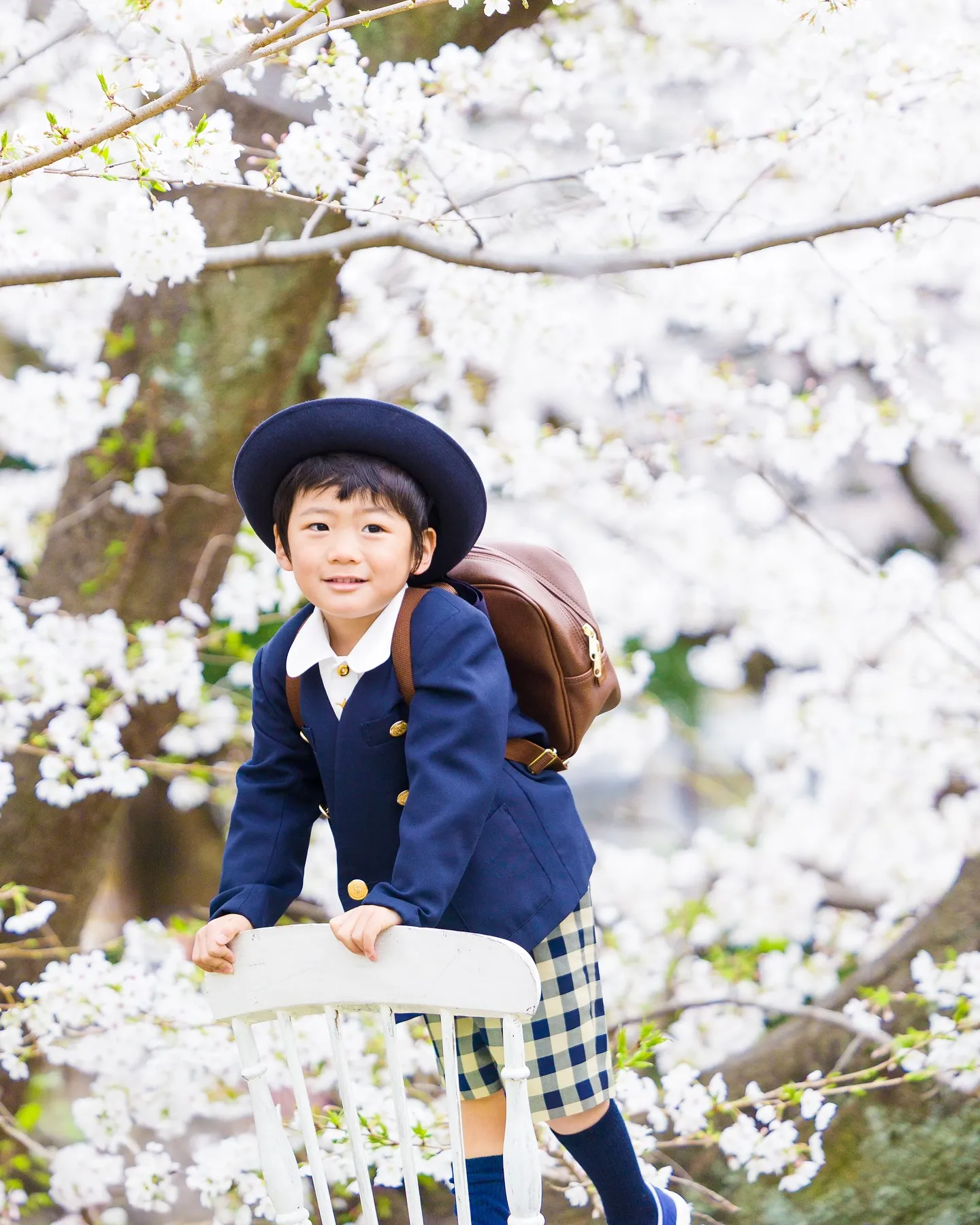 桜ロケーション撮影2025