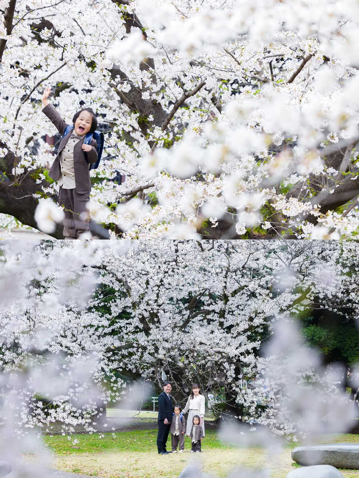 桜ロケーション撮影2025