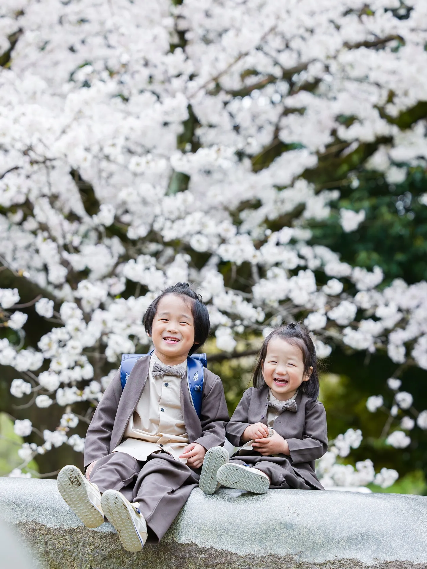 桜ロケーション撮影2025