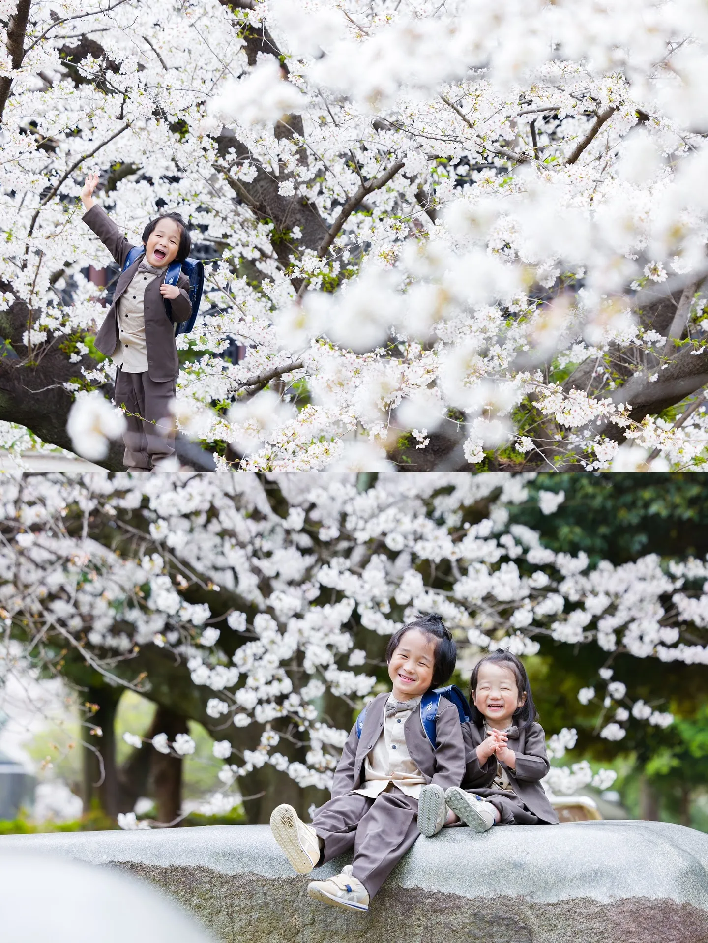 桜ロケーション撮影2025