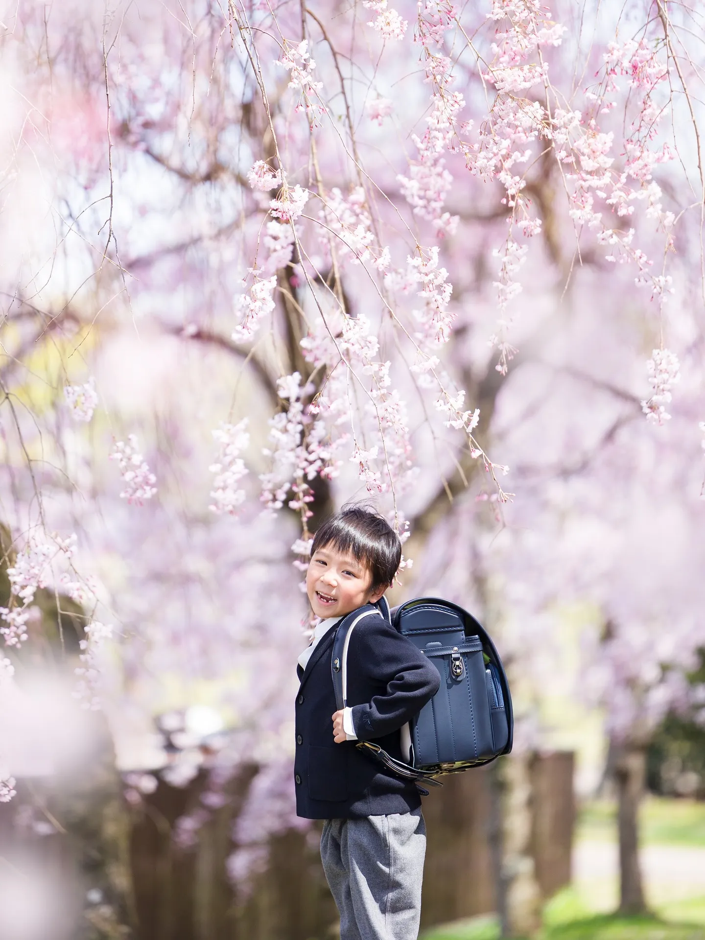 桜ロケーション撮影2025