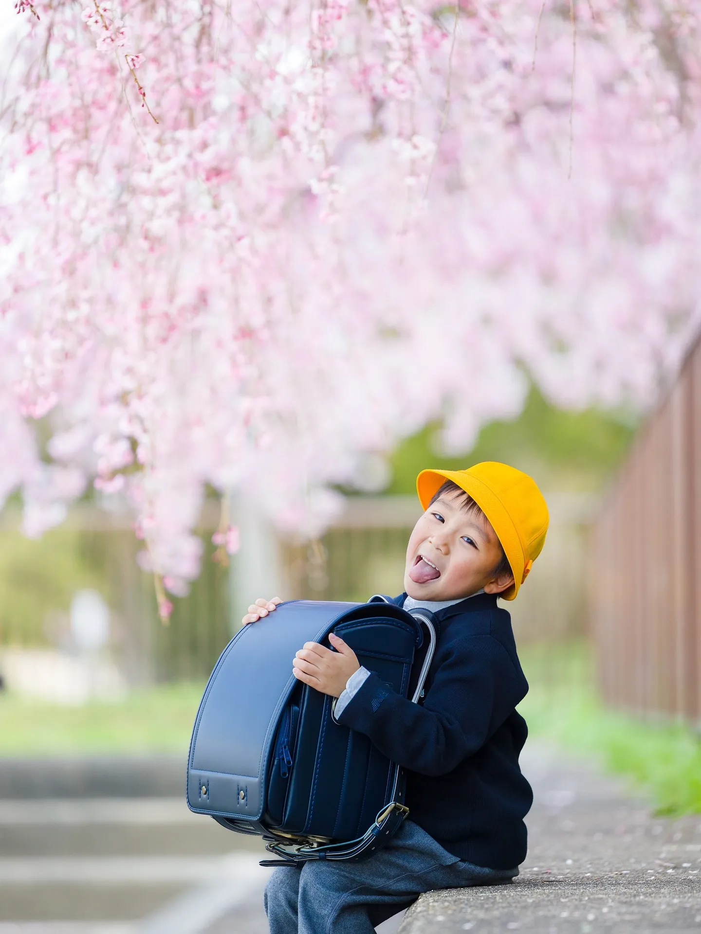 桜ロケーション撮影2025