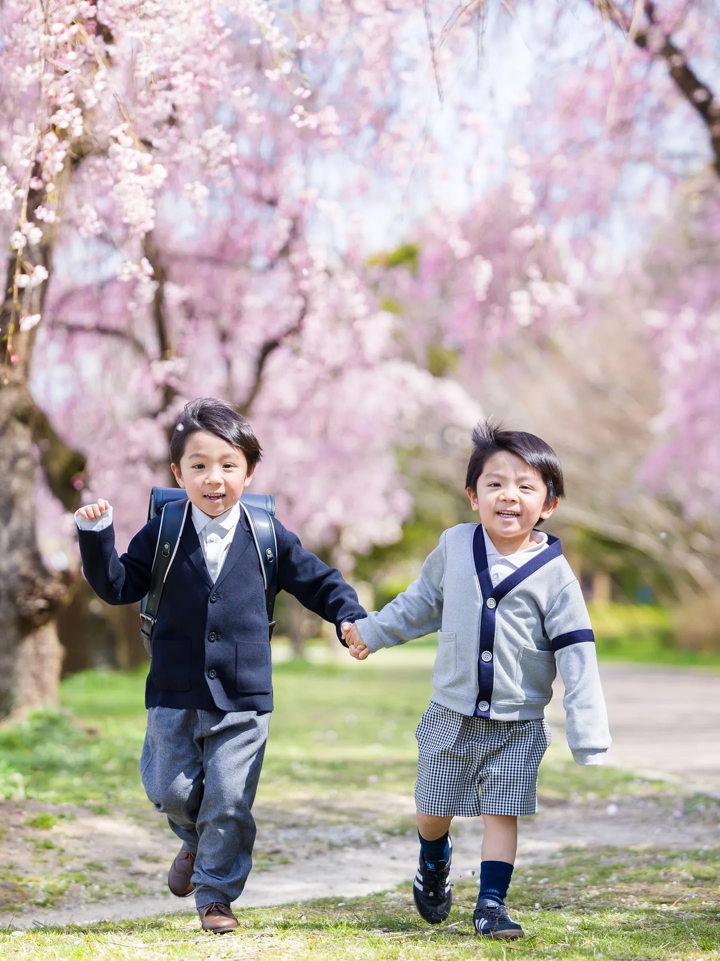 桜ロケーション撮影2025