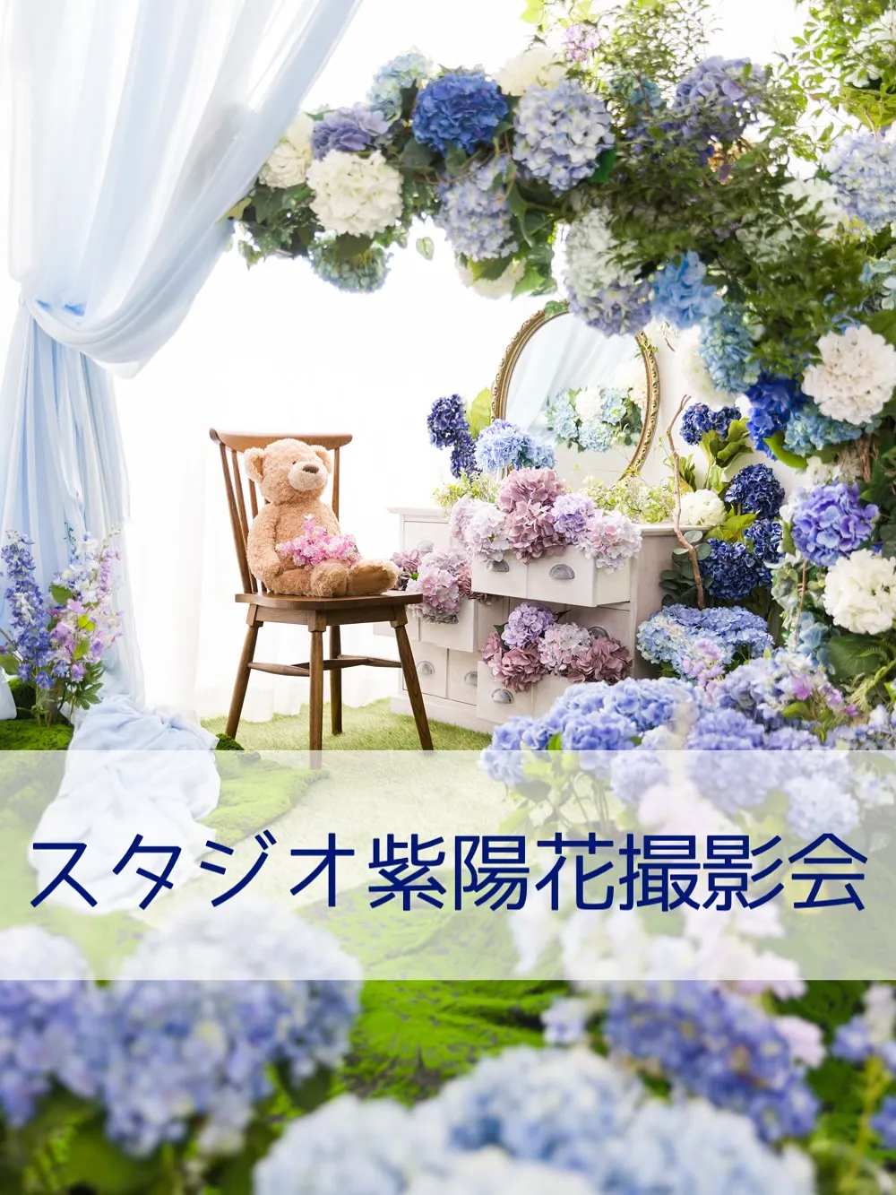 【スタジオ紫陽花撮影会】