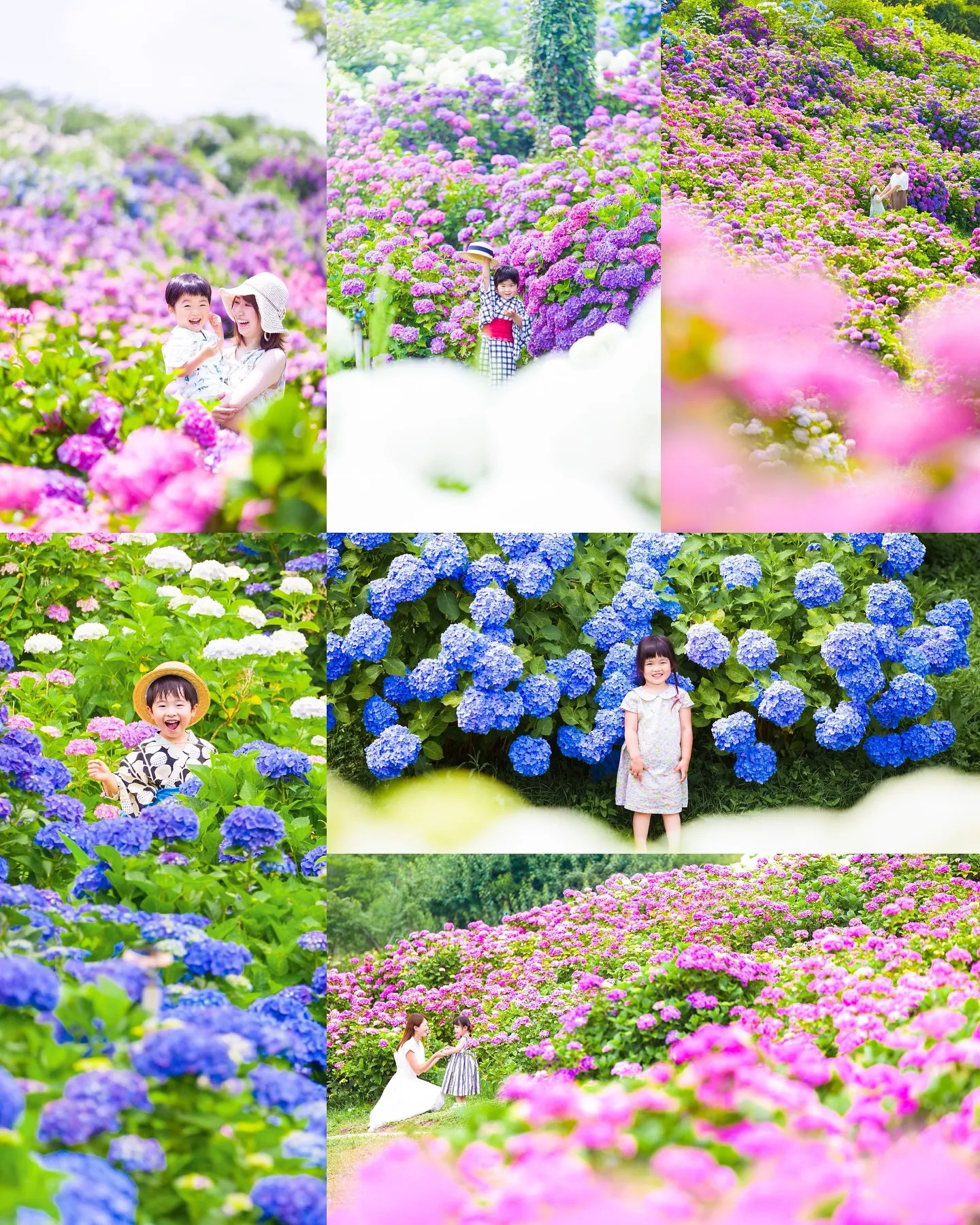 【ロケーション紫陽花撮影会】