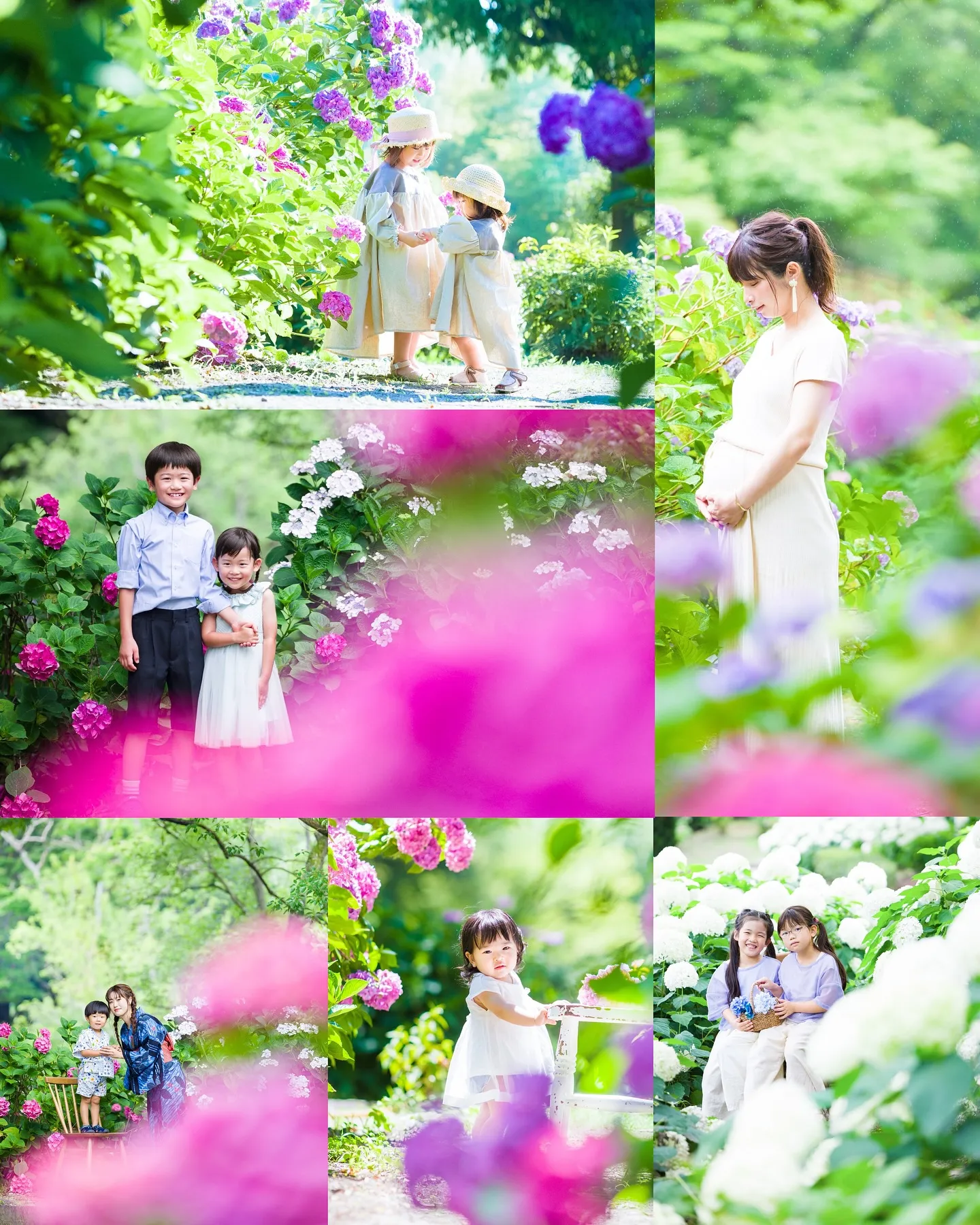 【ロケーション紫陽花撮影会】