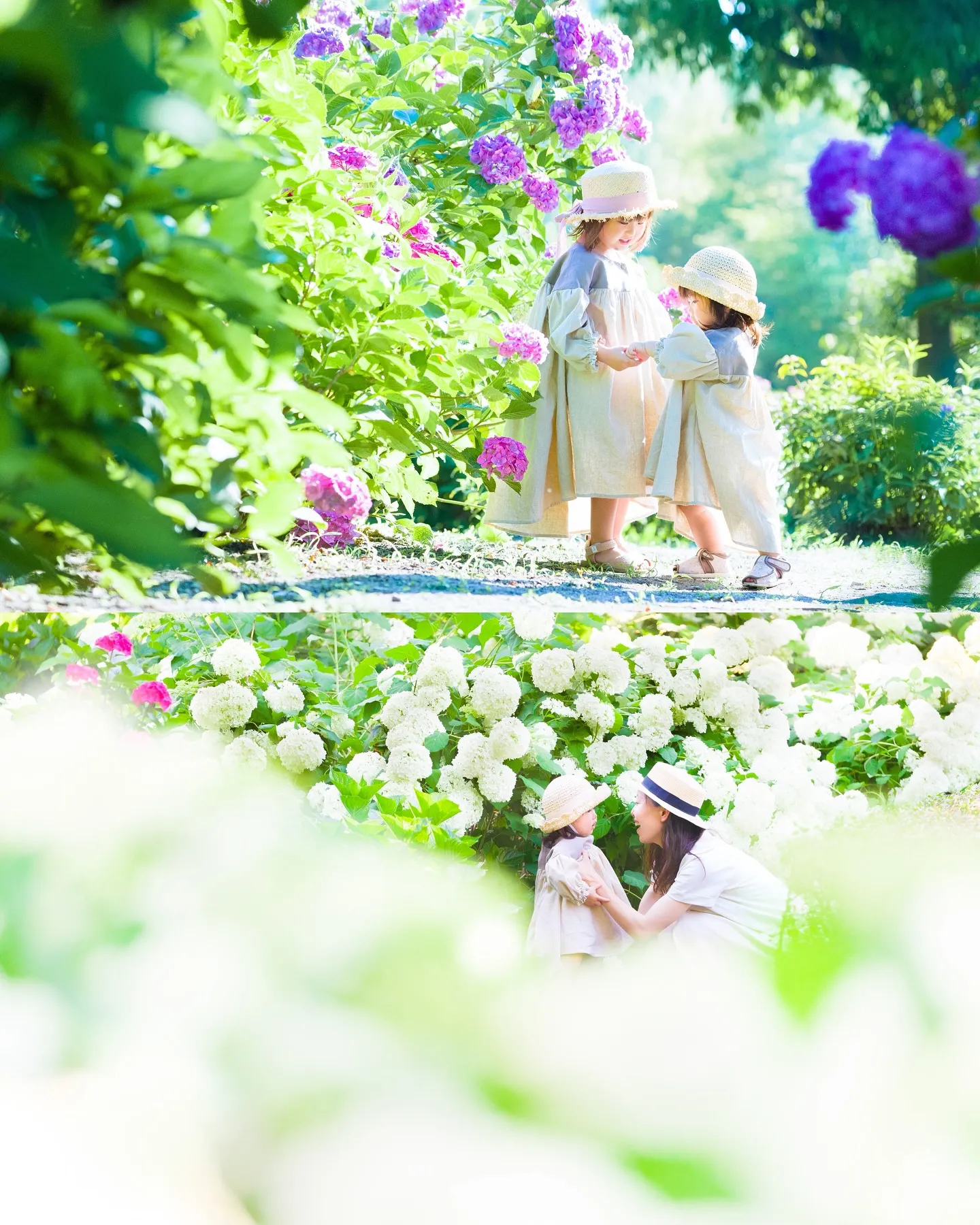 【ロケーション紫陽花撮影会】