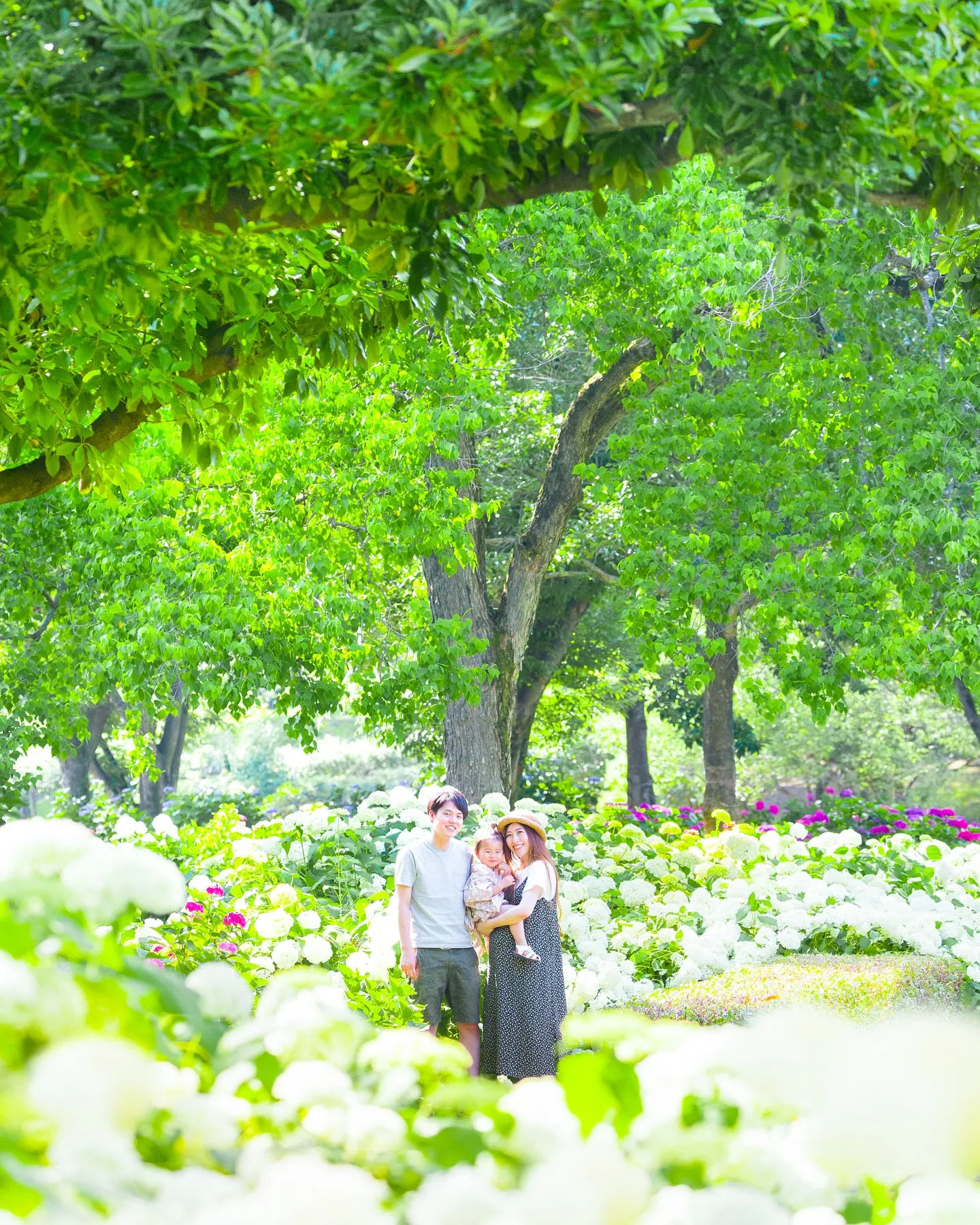【ロケーション紫陽花撮影会】