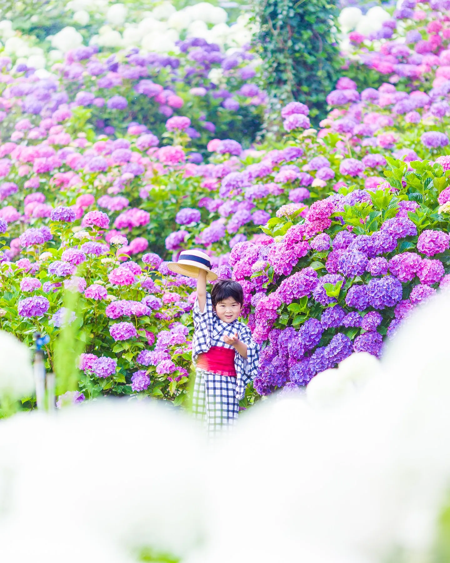 【ロケーション紫陽花撮影会】