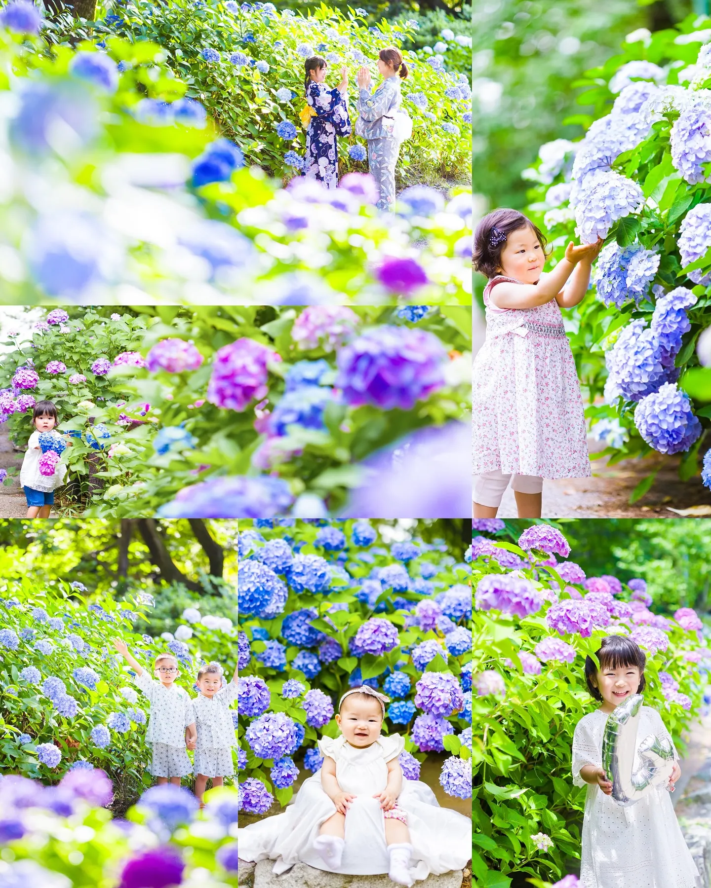 【ロケーション紫陽花撮影会】