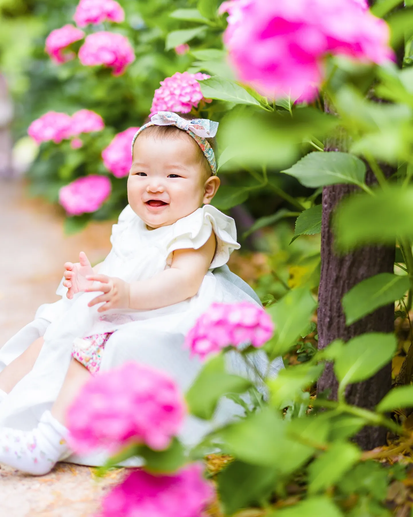 【ロケーション紫陽花撮影会】