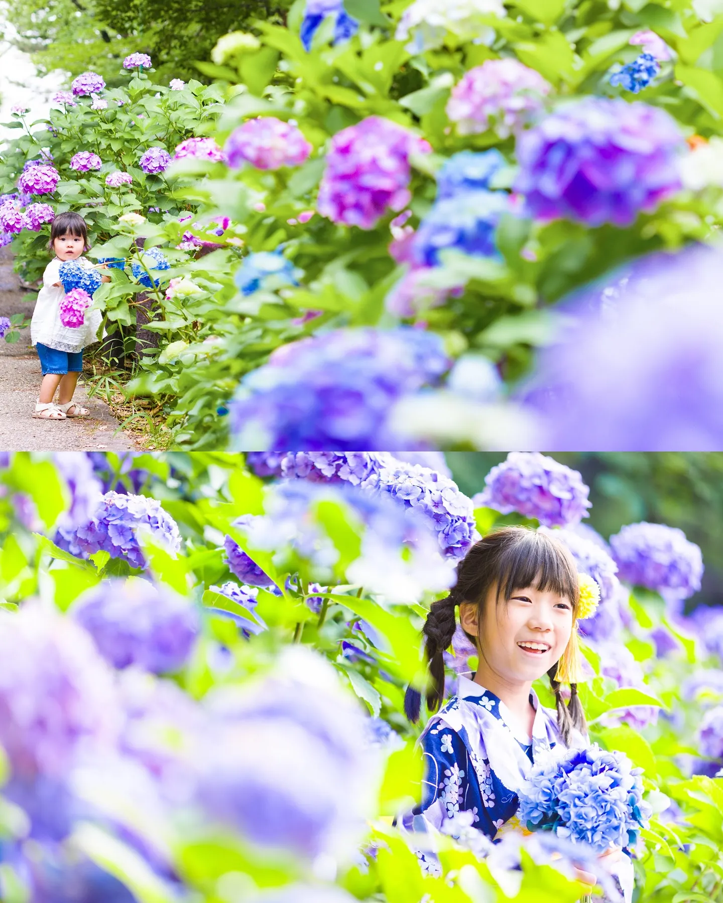 【ロケーション紫陽花撮影会】