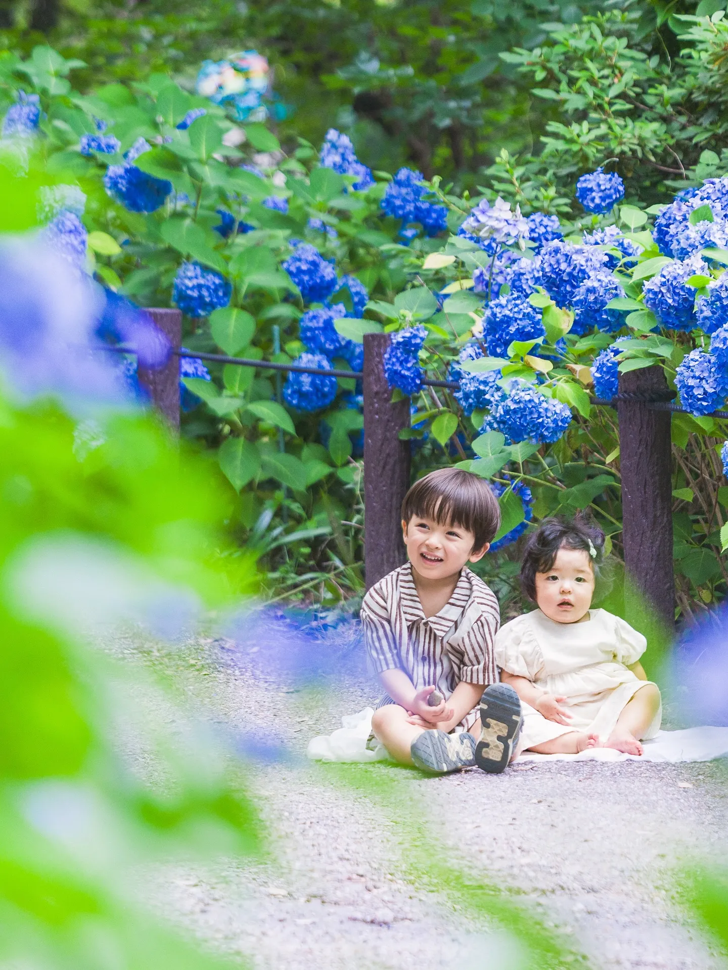 紫陽花撮影会開催しました✨