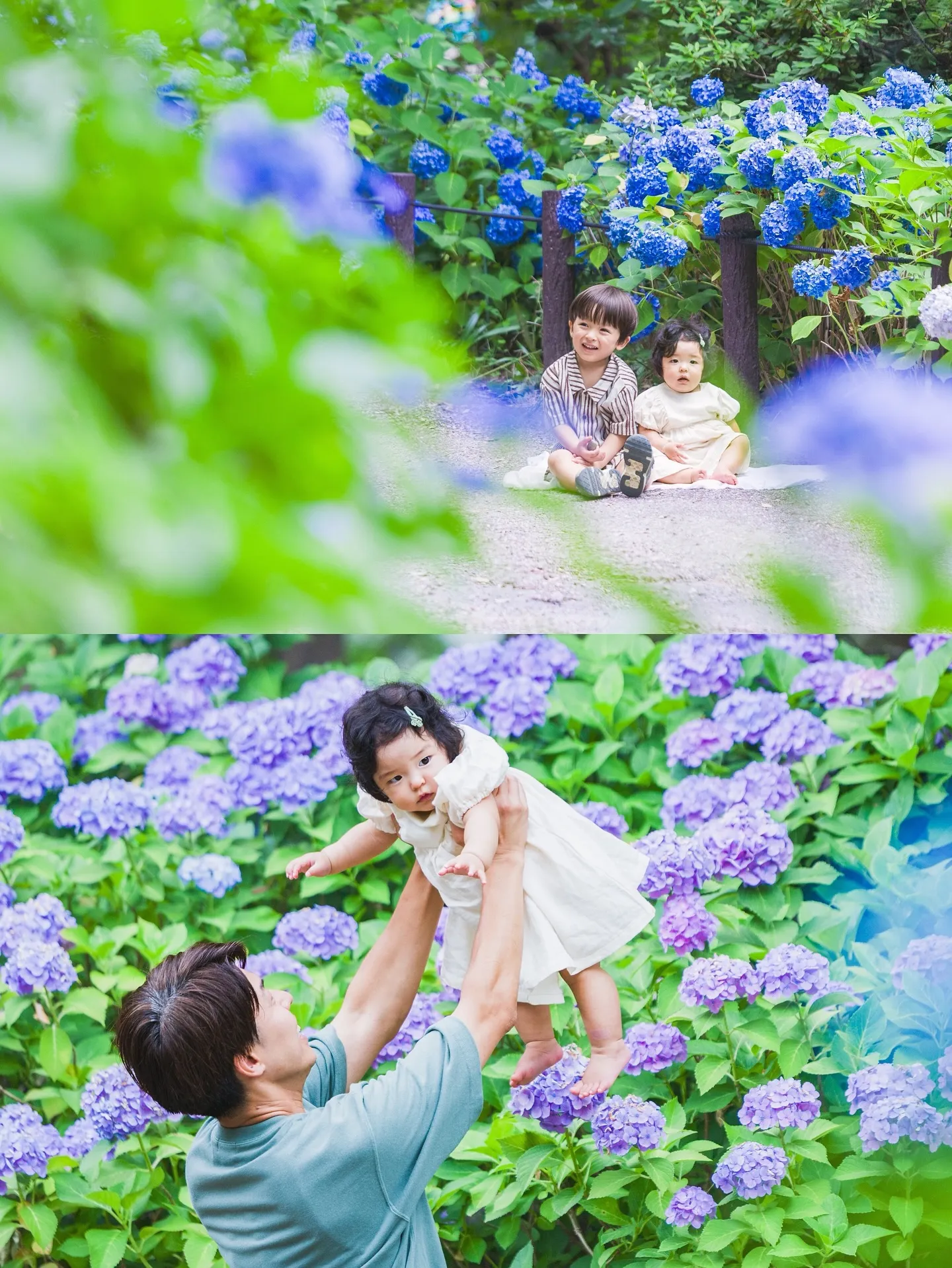 紫陽花撮影会開催しました✨