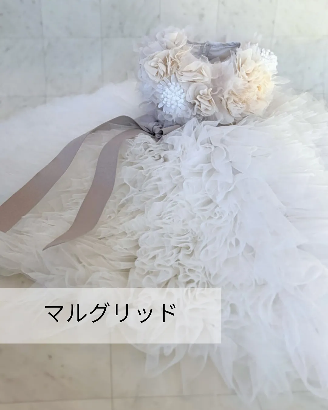 【DRESS撮影会開催いたします】