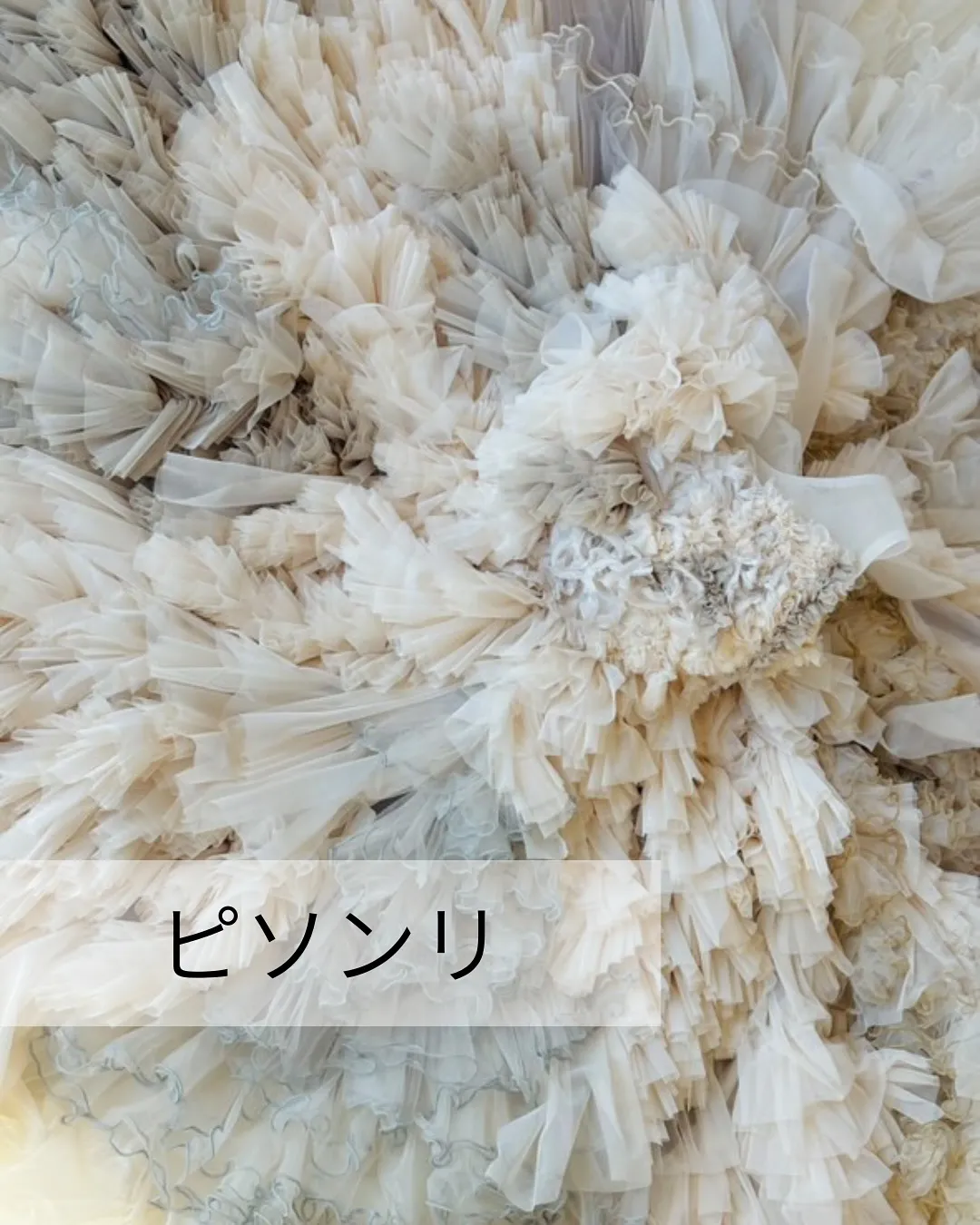 【DRESS撮影会開催いたします】