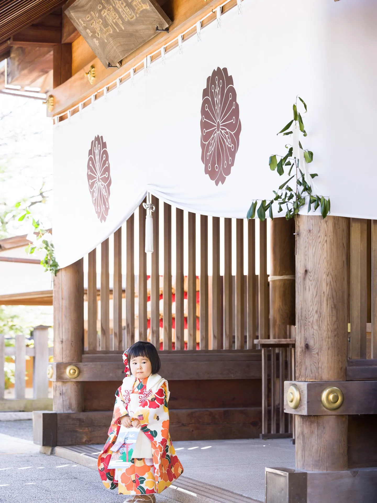 【七五三撮影】