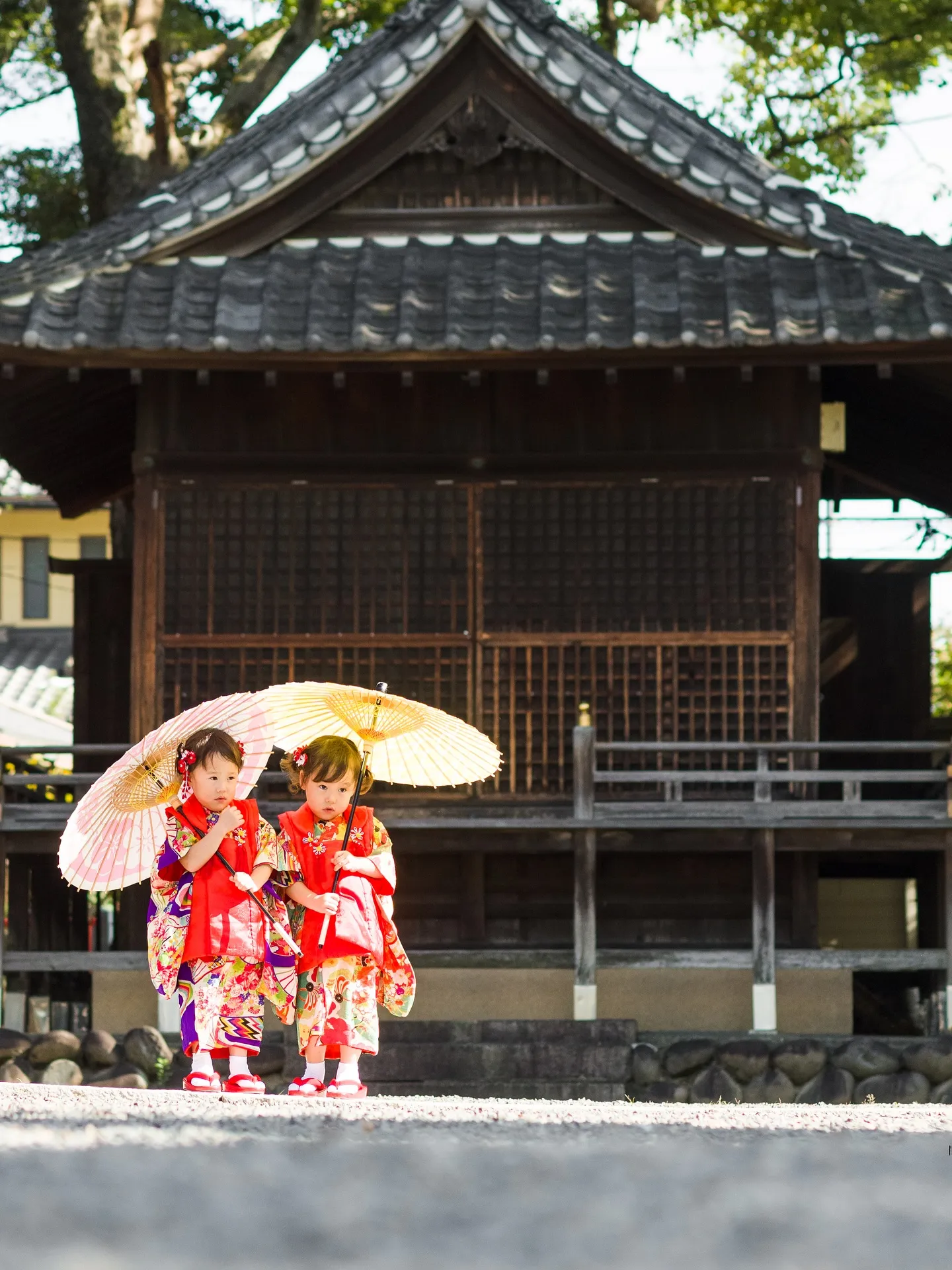 【七五三撮影】