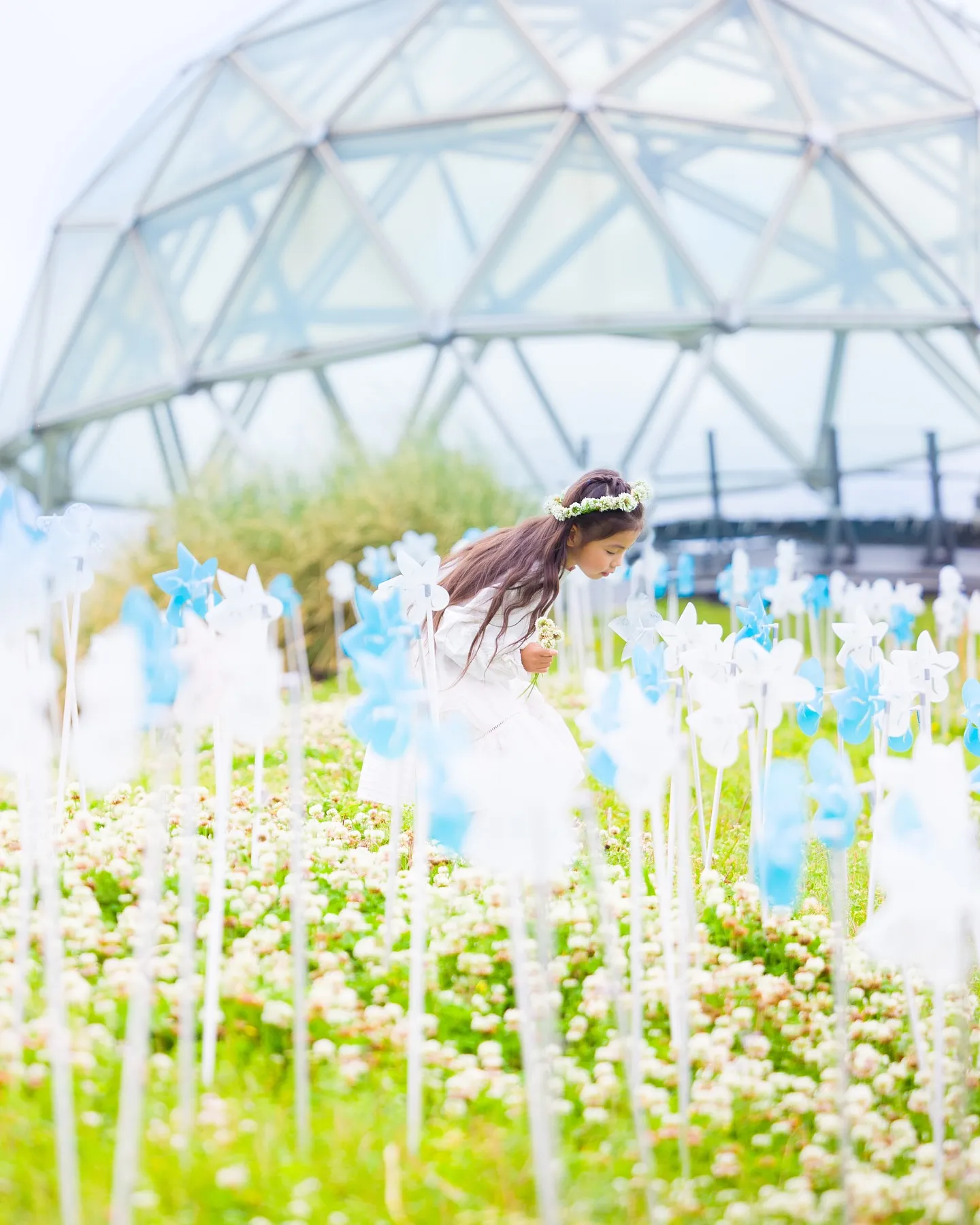 【風の丘撮影会】