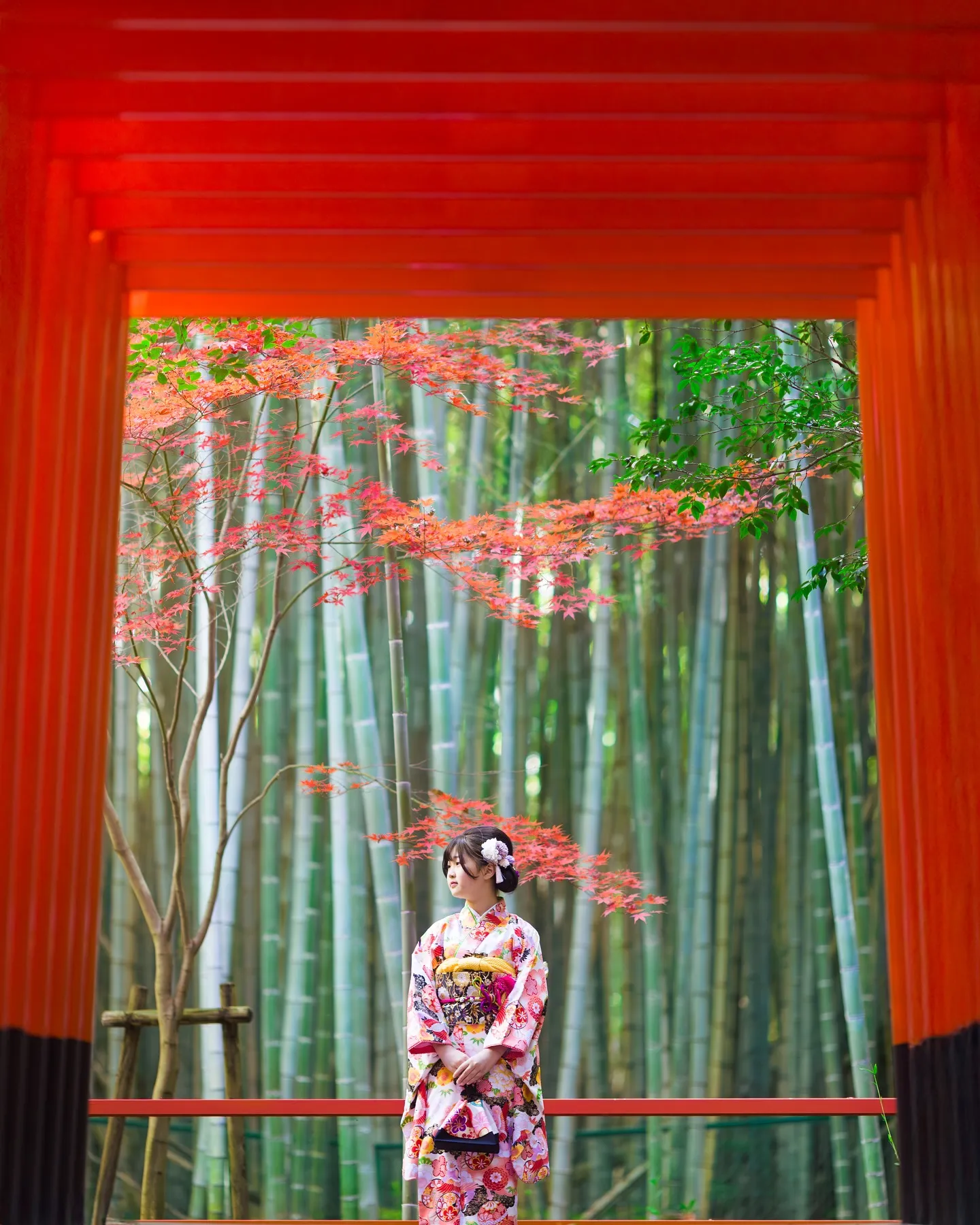 【七五三撮影】