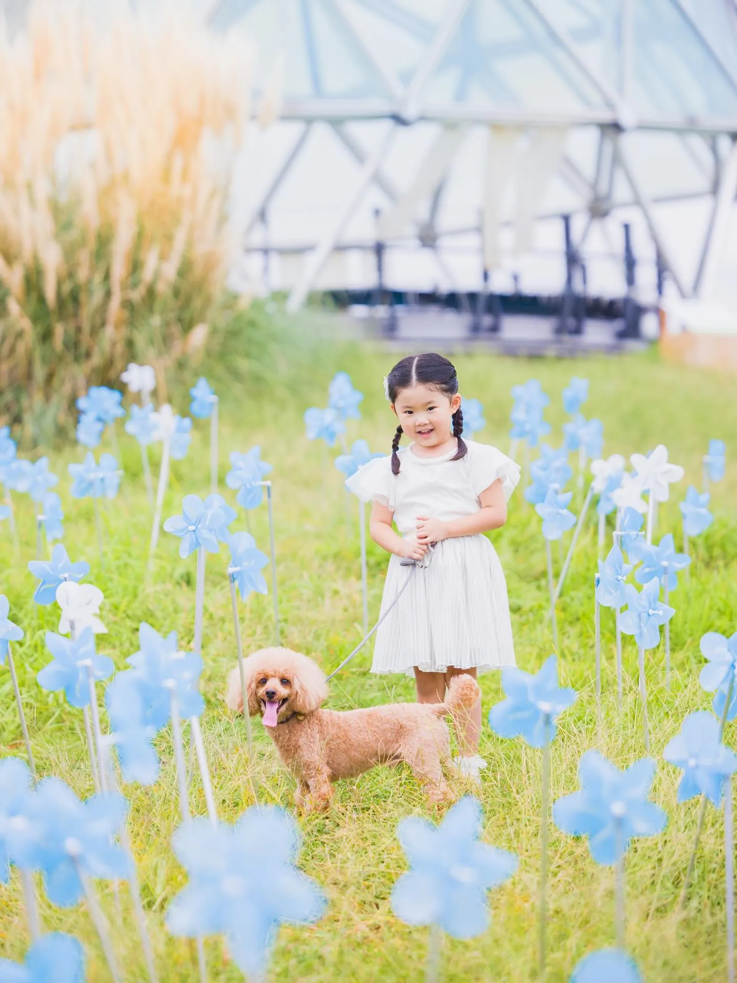 【風の丘撮影会】