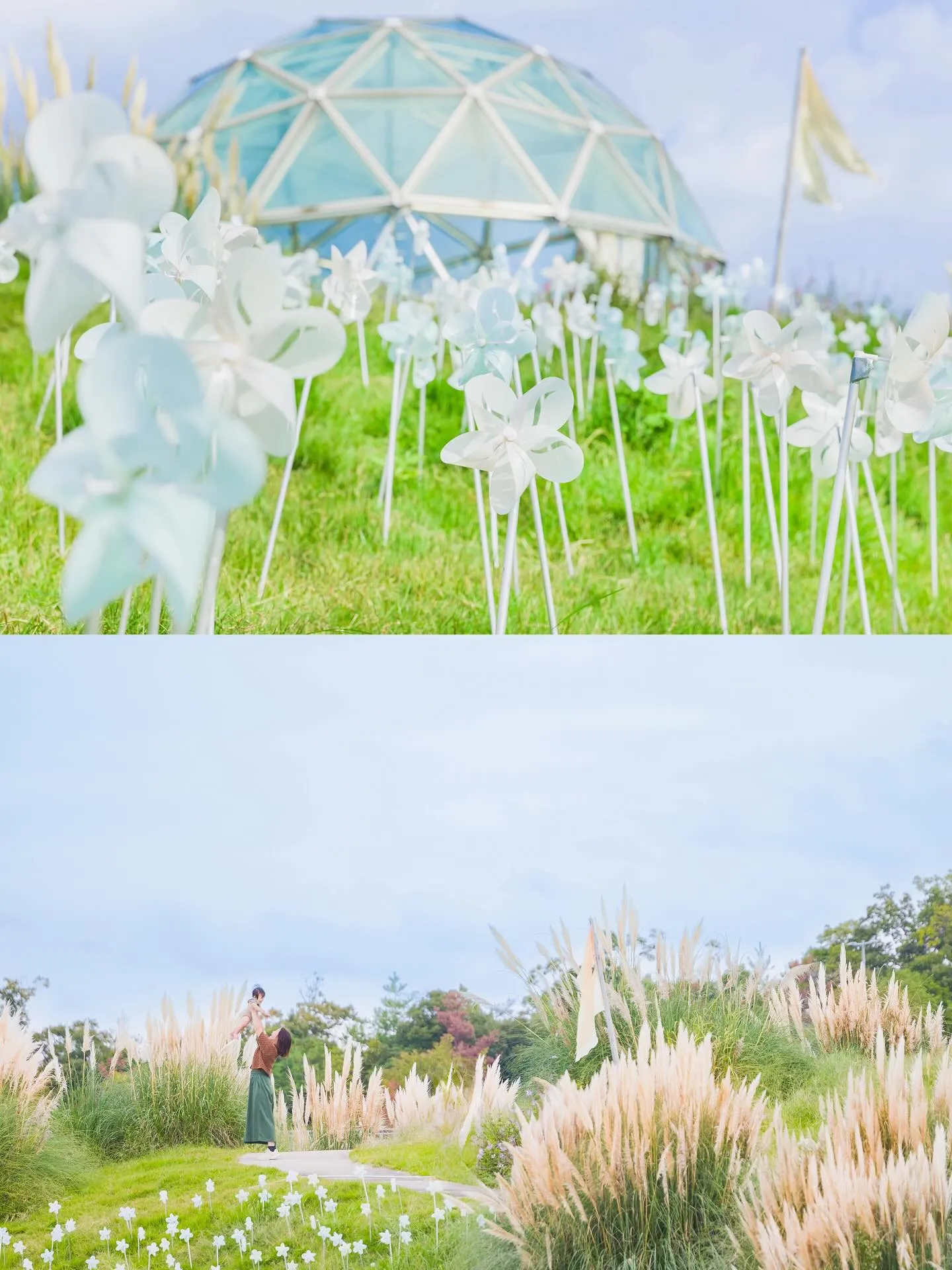 【風の丘撮影会】