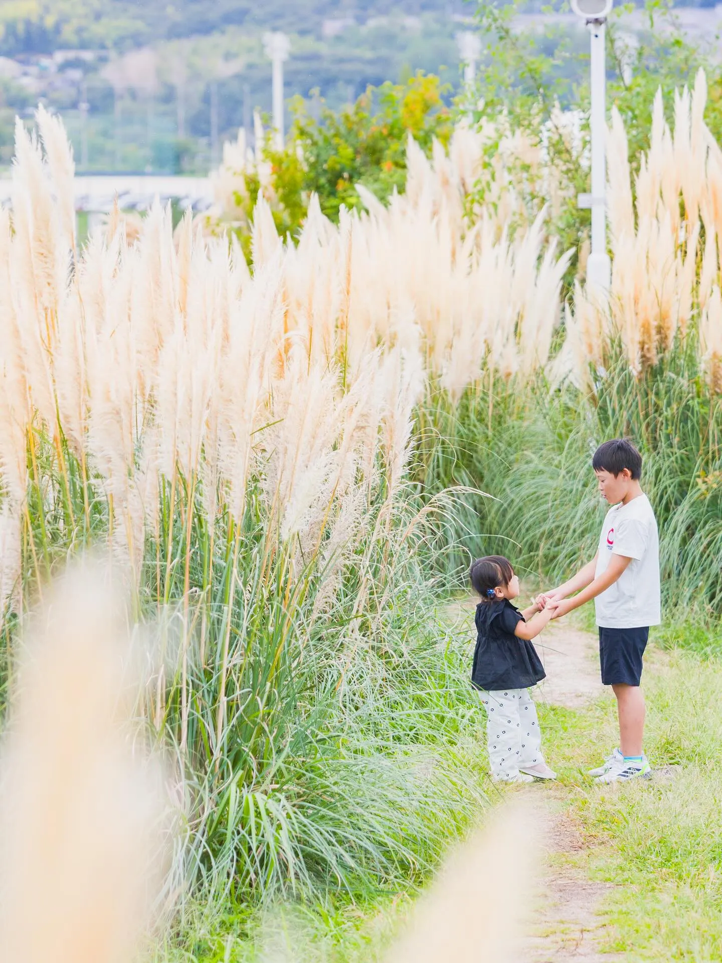 【風の丘撮影会】