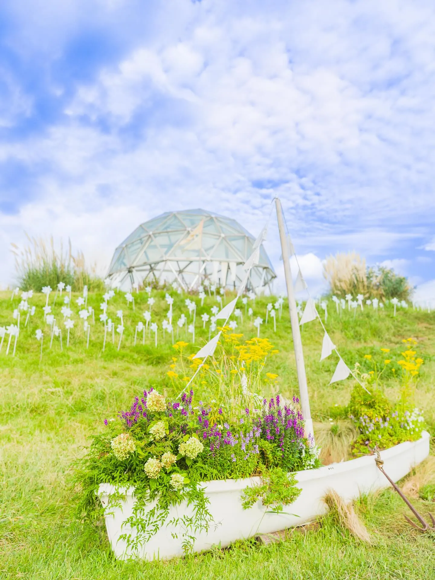 【風の丘撮影会】