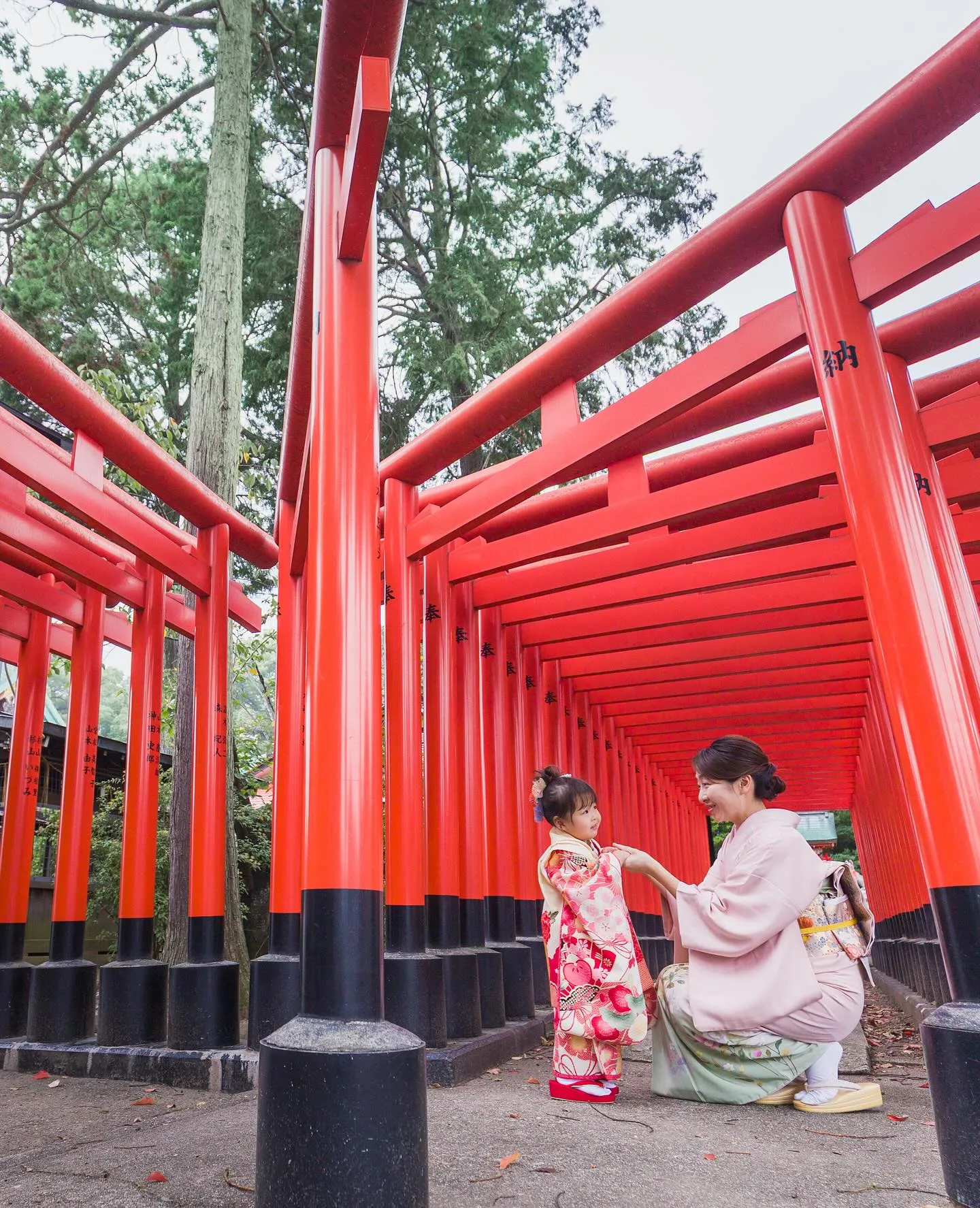 【七五三撮影】