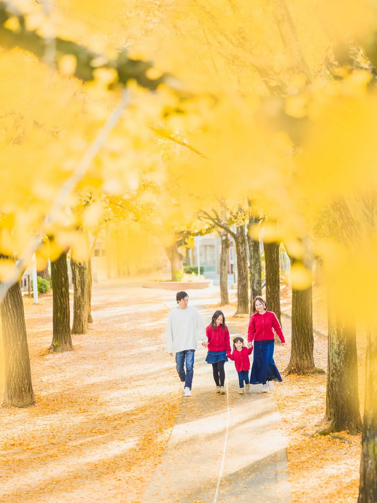 イチョウ撮影会