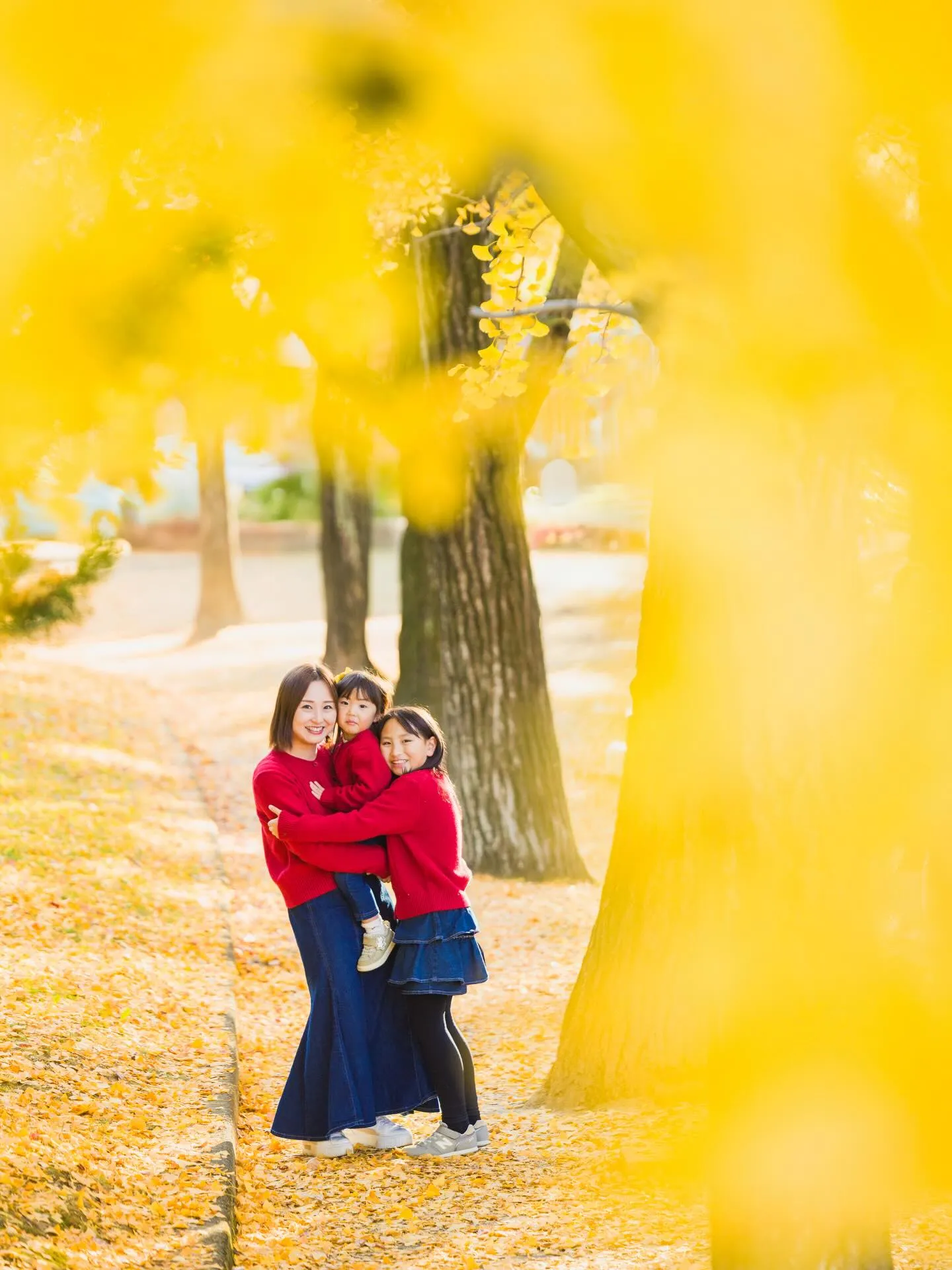 イチョウ撮影会