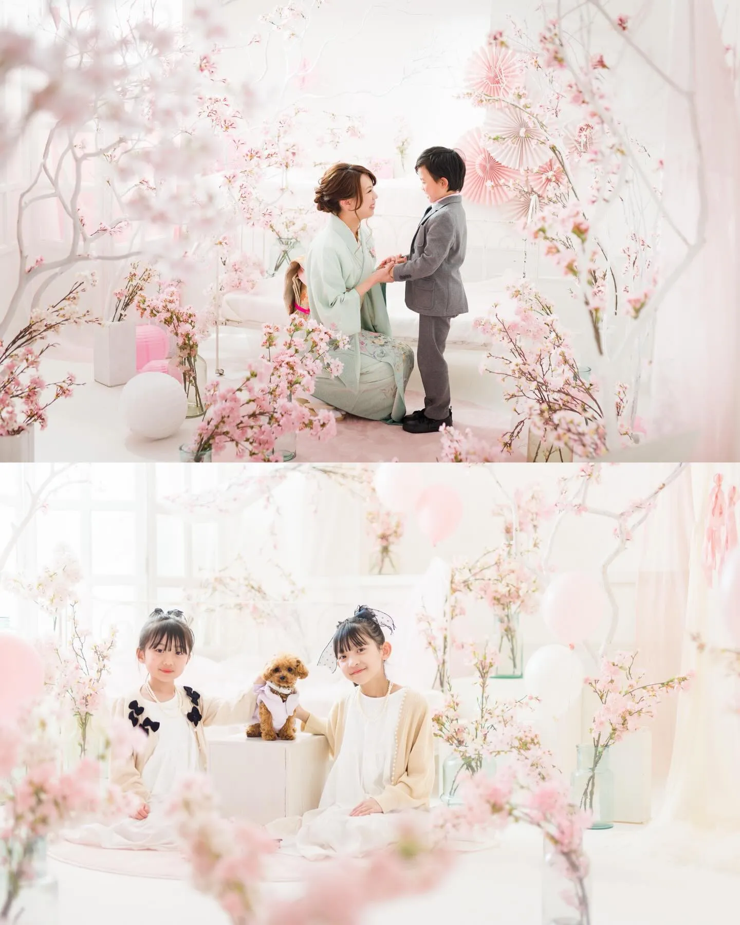 【スタジオ桜撮影会】