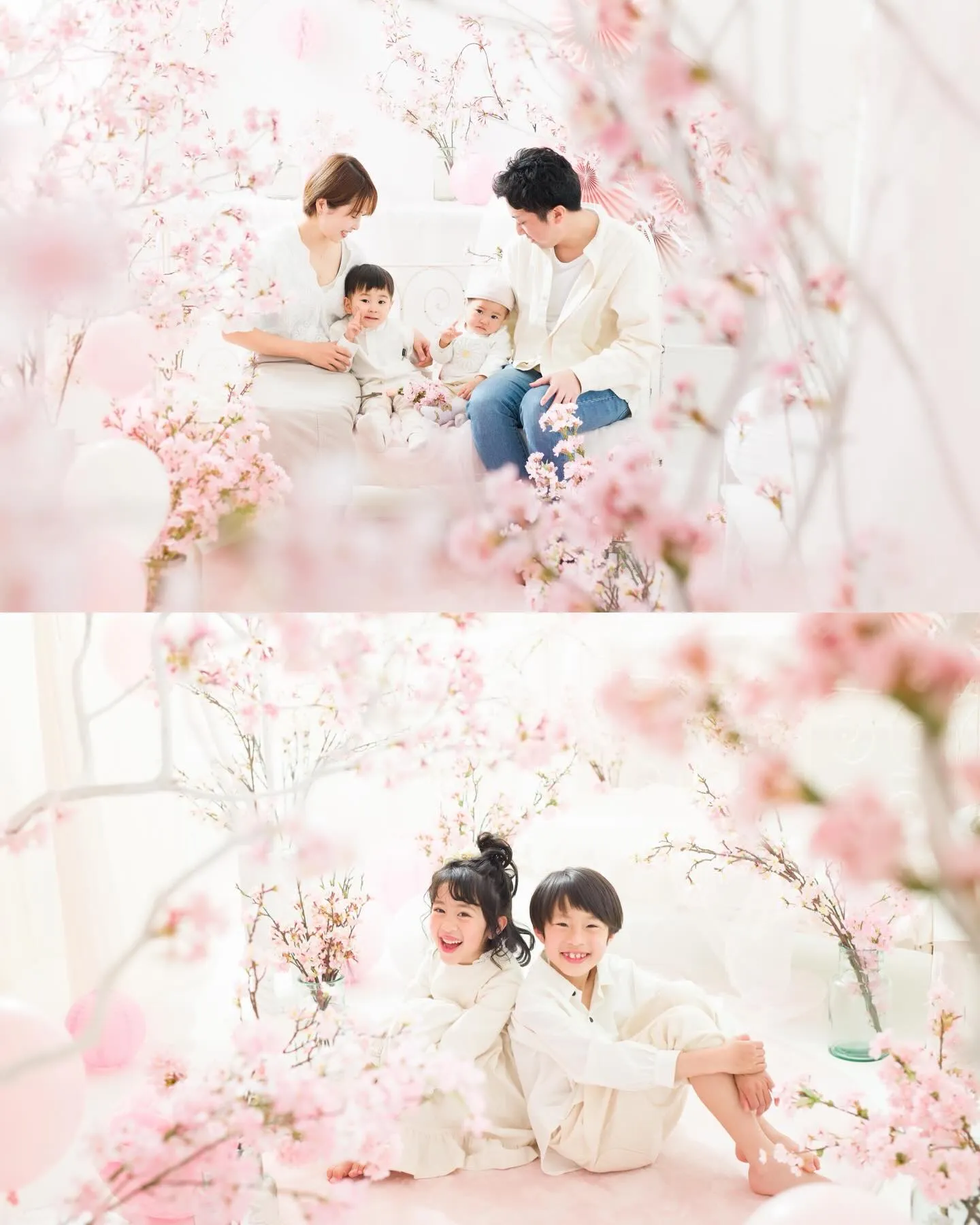 【スタジオ桜撮影会】