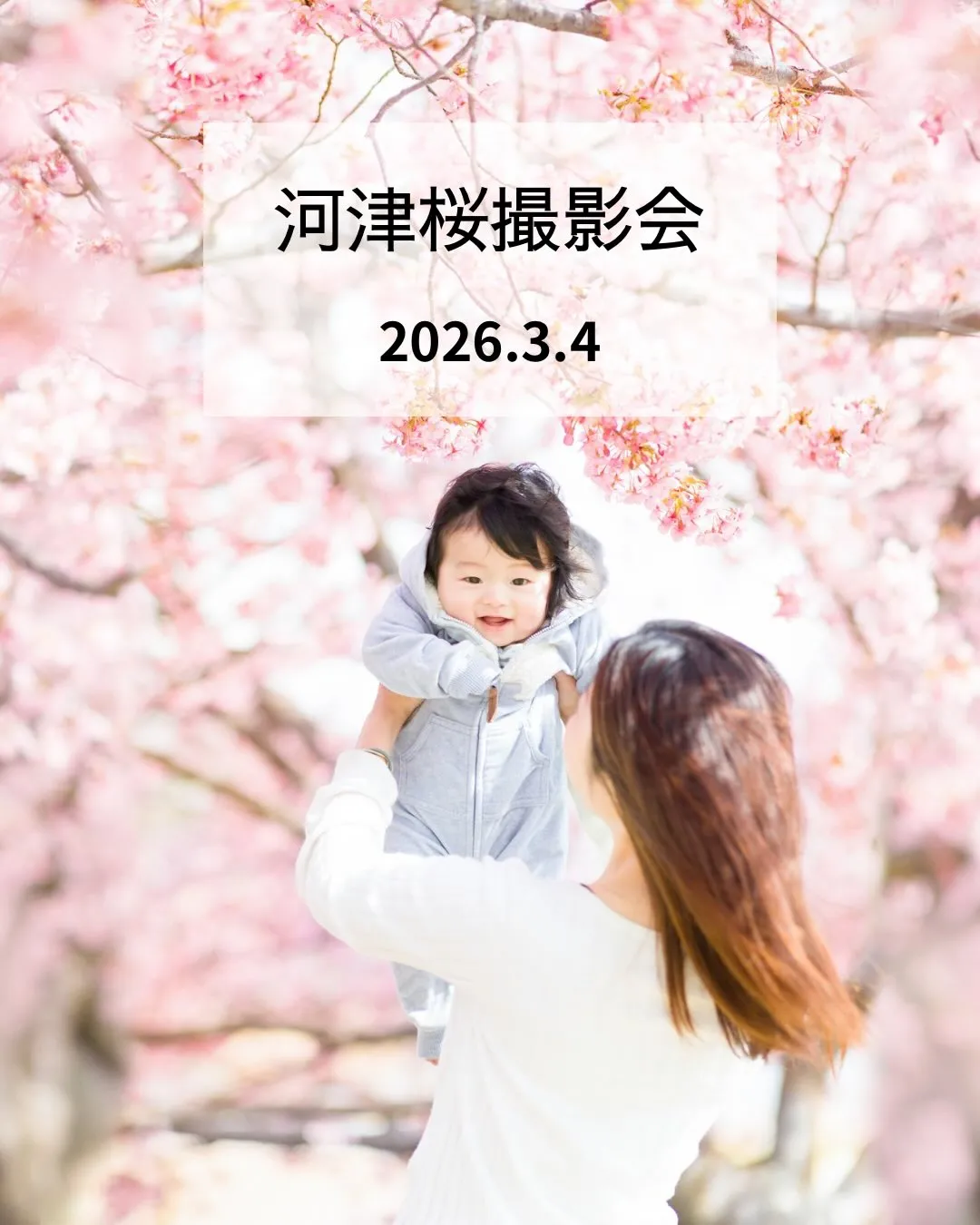 【河津桜撮影会開催します！】