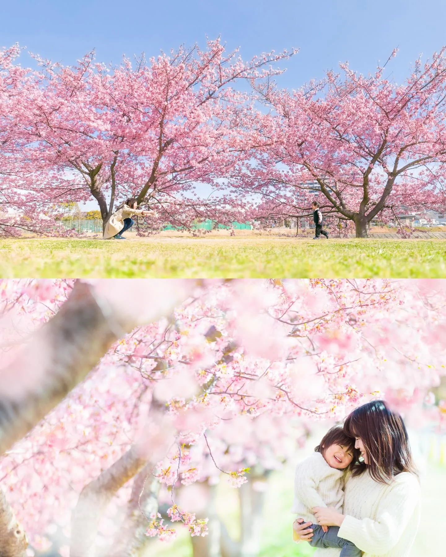 【河津桜撮影会開催します！】