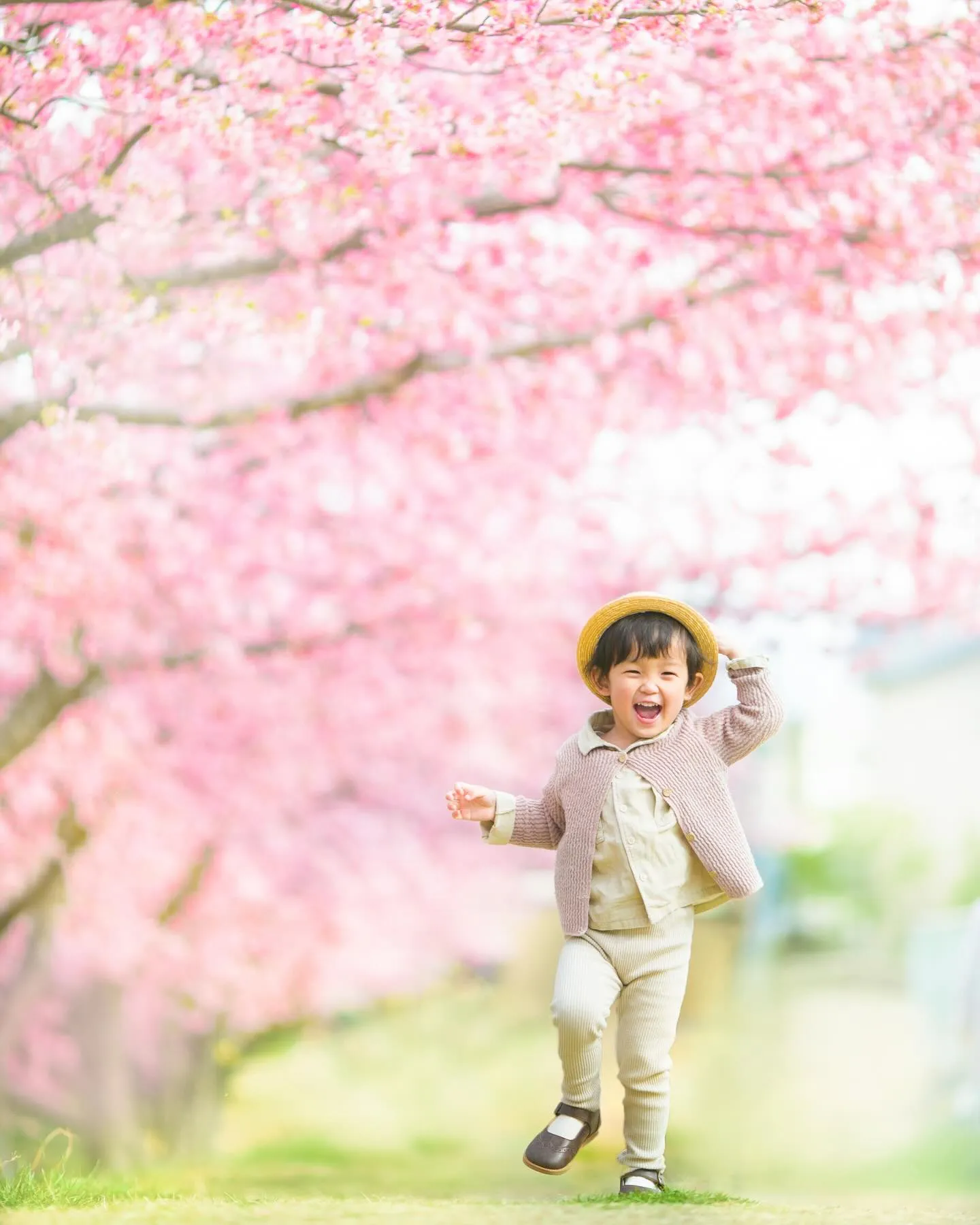 【河津桜撮影会開催します！】